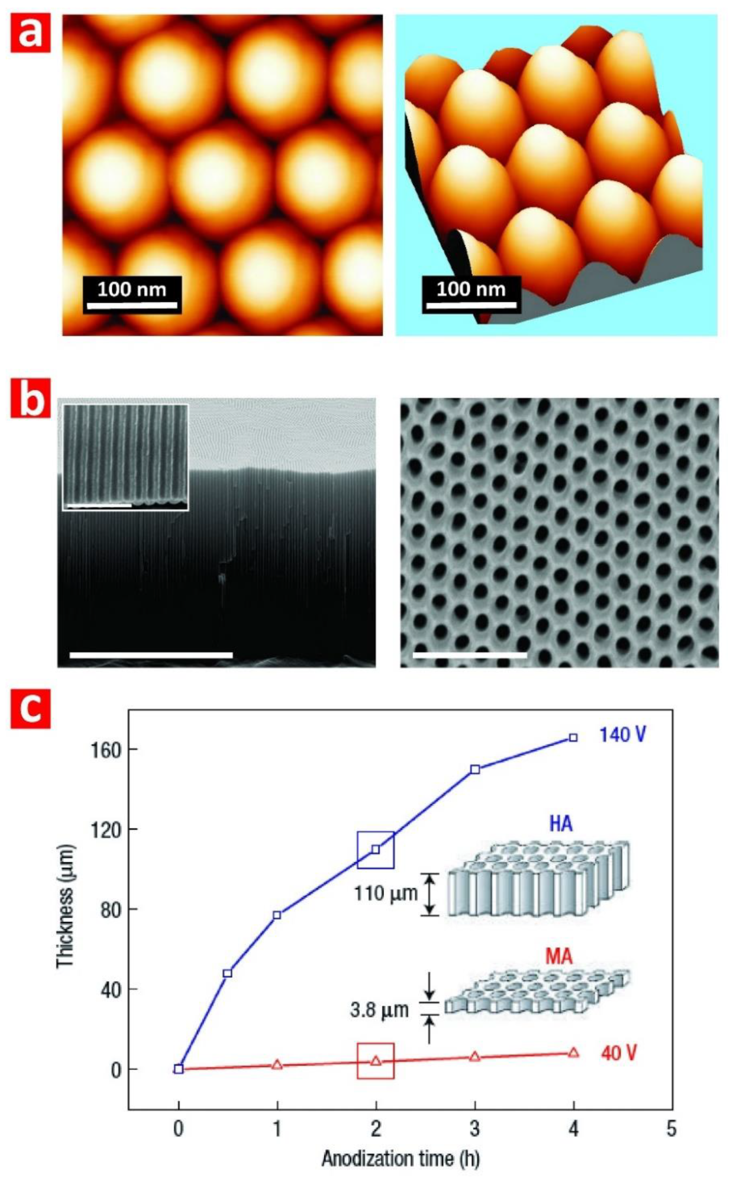 Nanomaterials 08 00788 g003