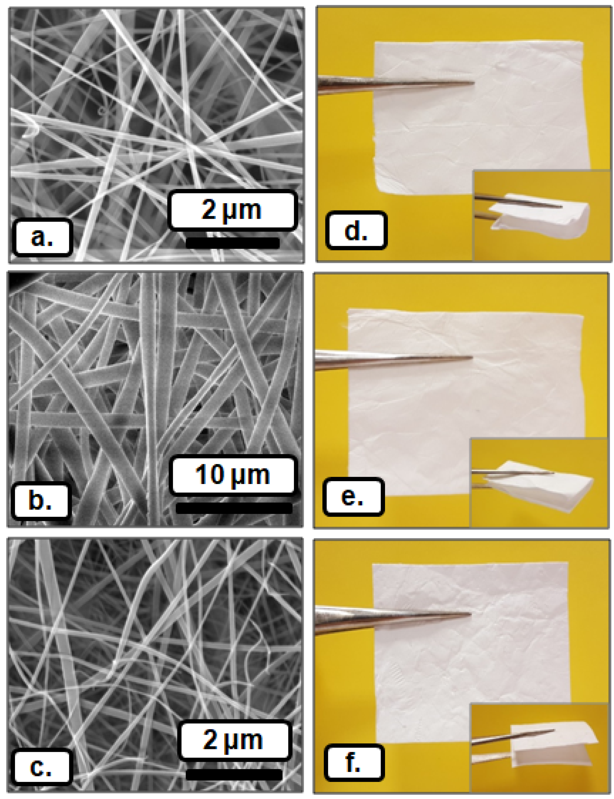 Nanomaterials 08 00793 g003