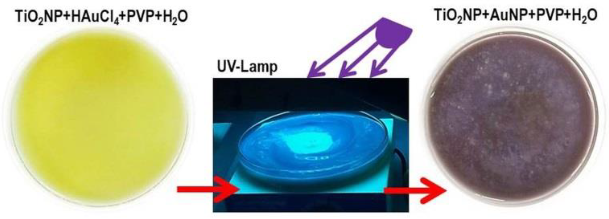 Nanomaterials 08 00798 g001