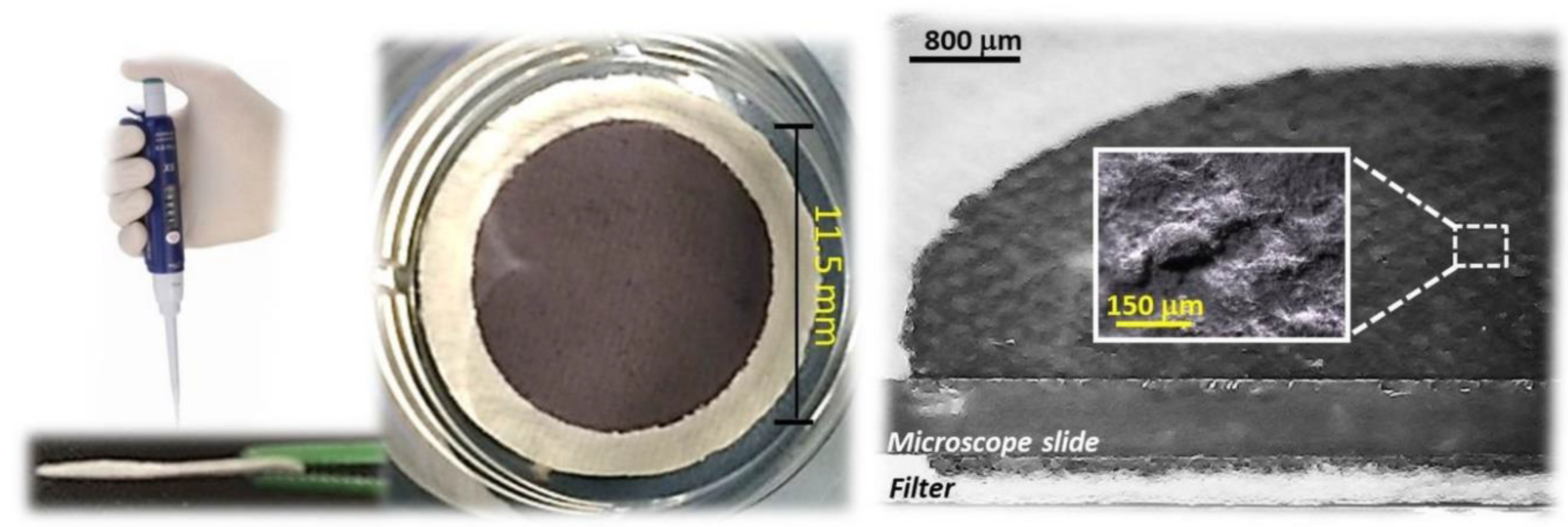 Nanomaterials 08 00798 g005