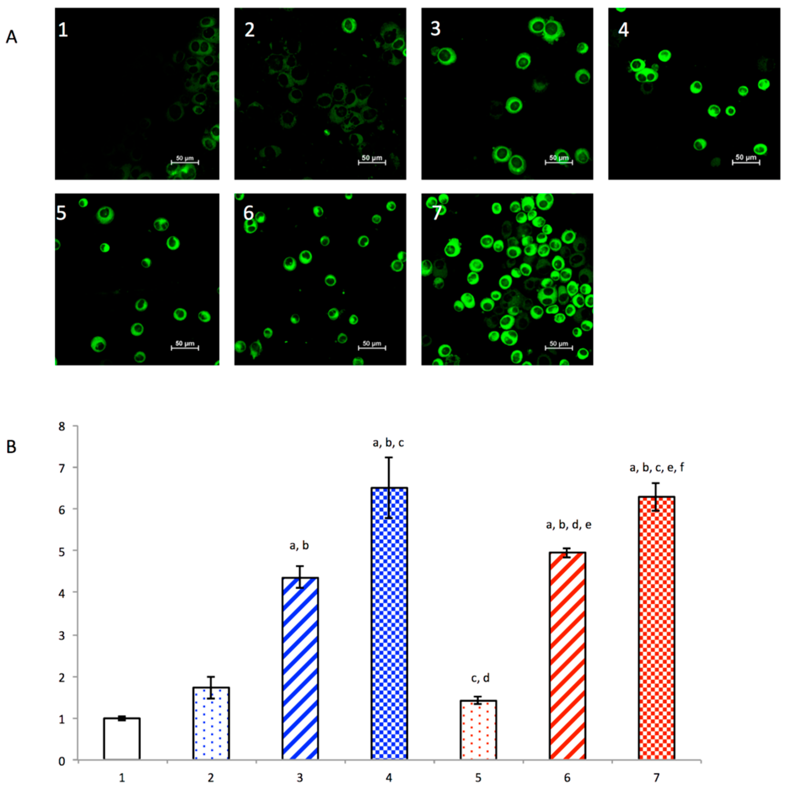 Nanomaterials 08 00804 g002 Nanomaterials 08 00804 g002