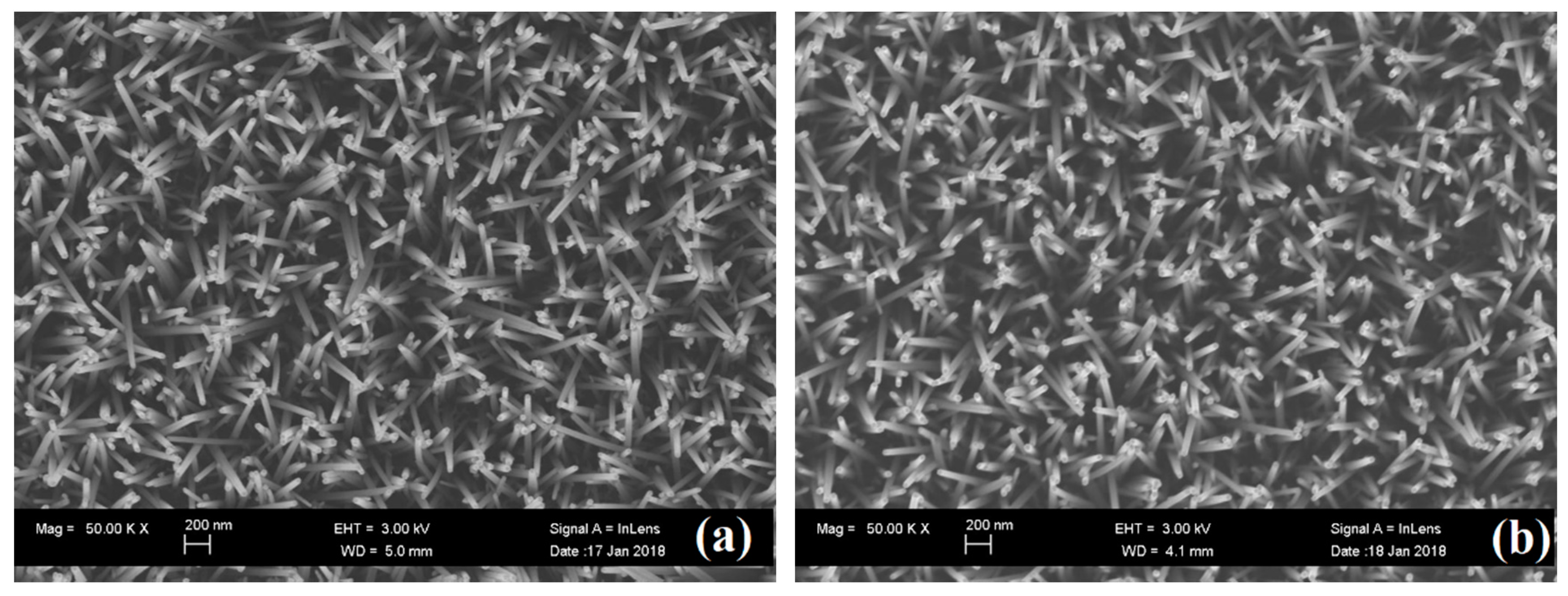 Nanomaterials 08 00811 g001 Nanomaterials 08 00811 g001