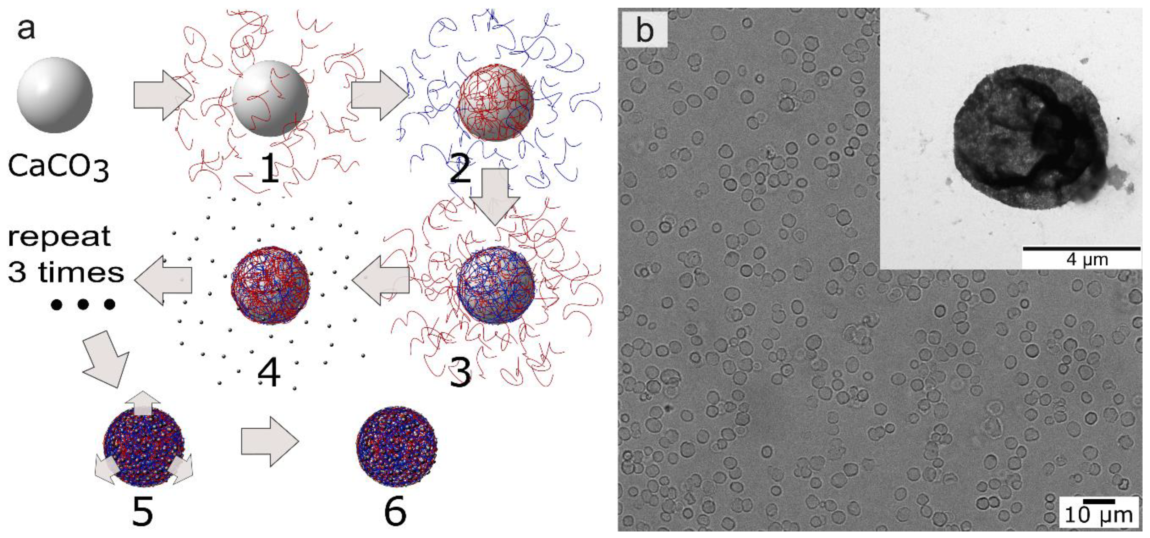Nanomaterials 08 00812 g001