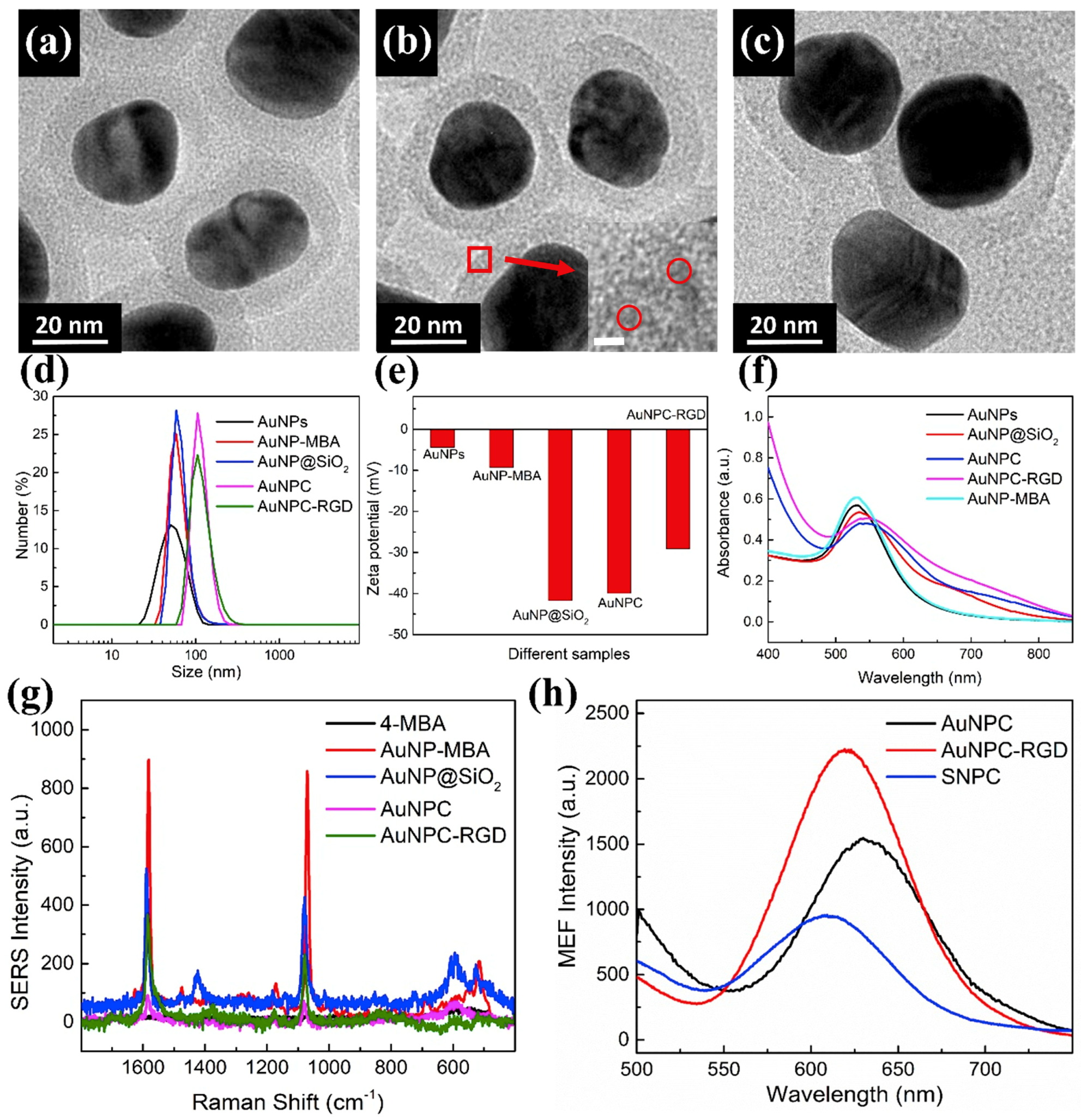 Nanomaterials Free FullText Homologous Gold Nanoparticles and