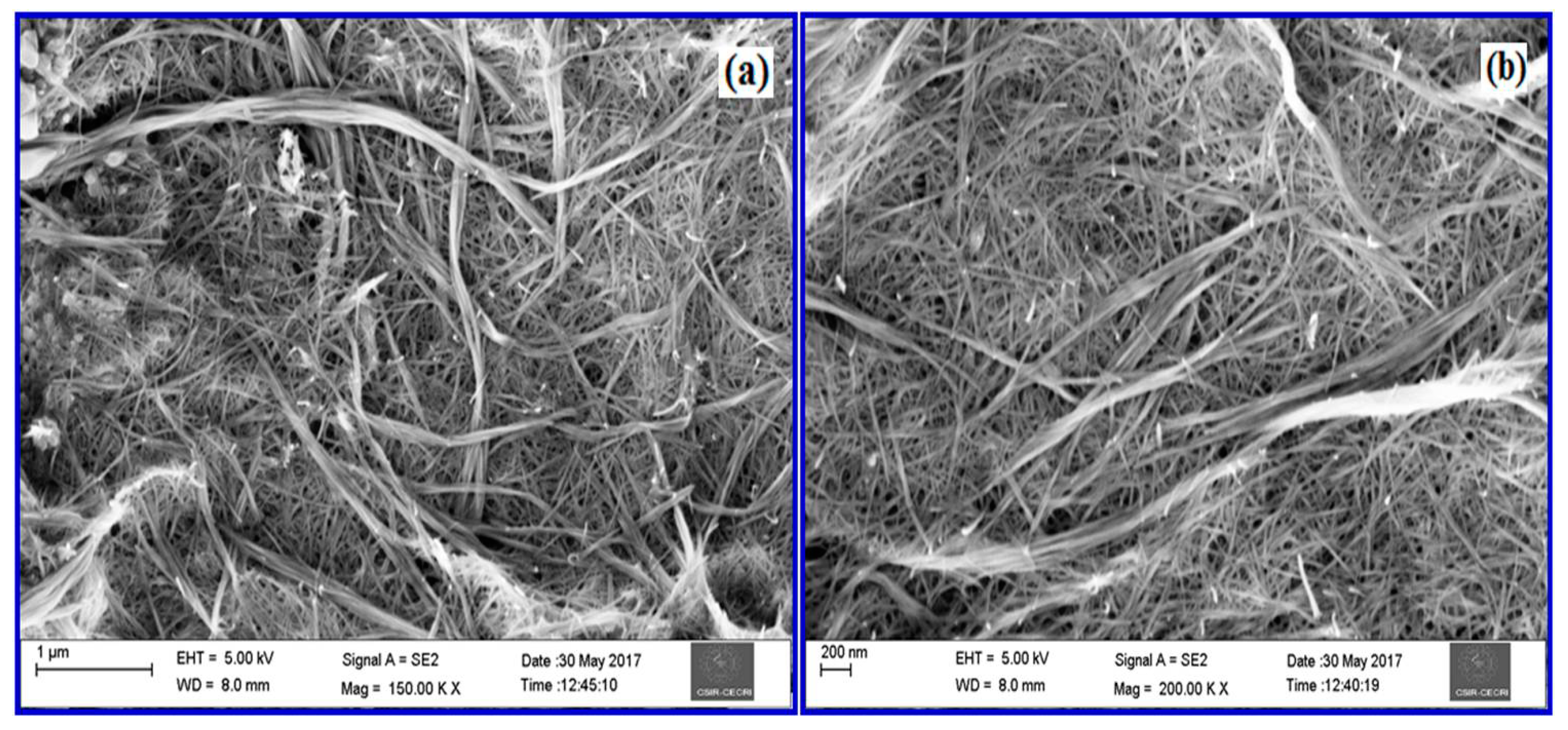 Nanomaterials 08 00823 g004 Nanomaterials 08 00823 g004