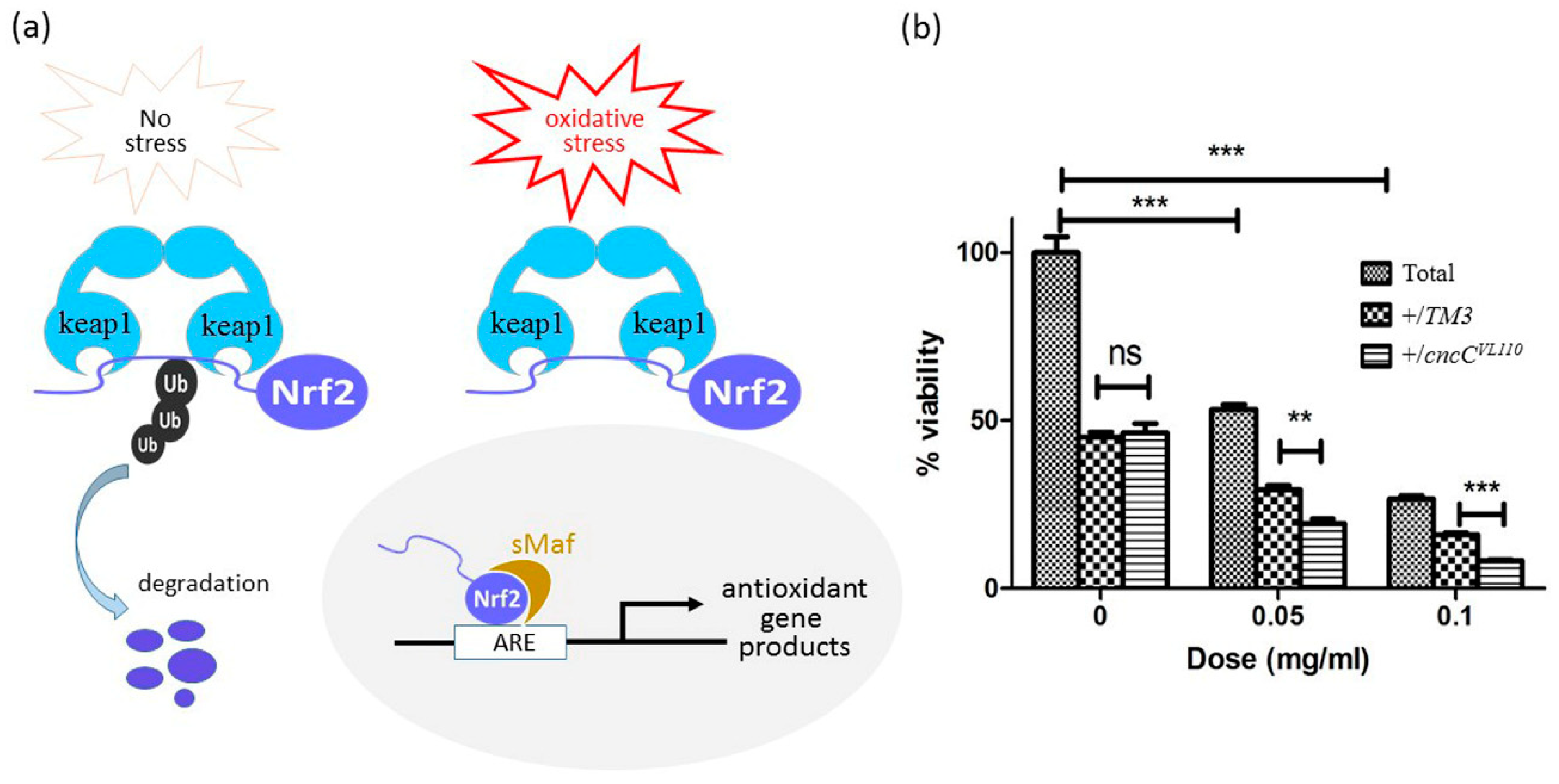 Nanomaterials 08 00824 g006