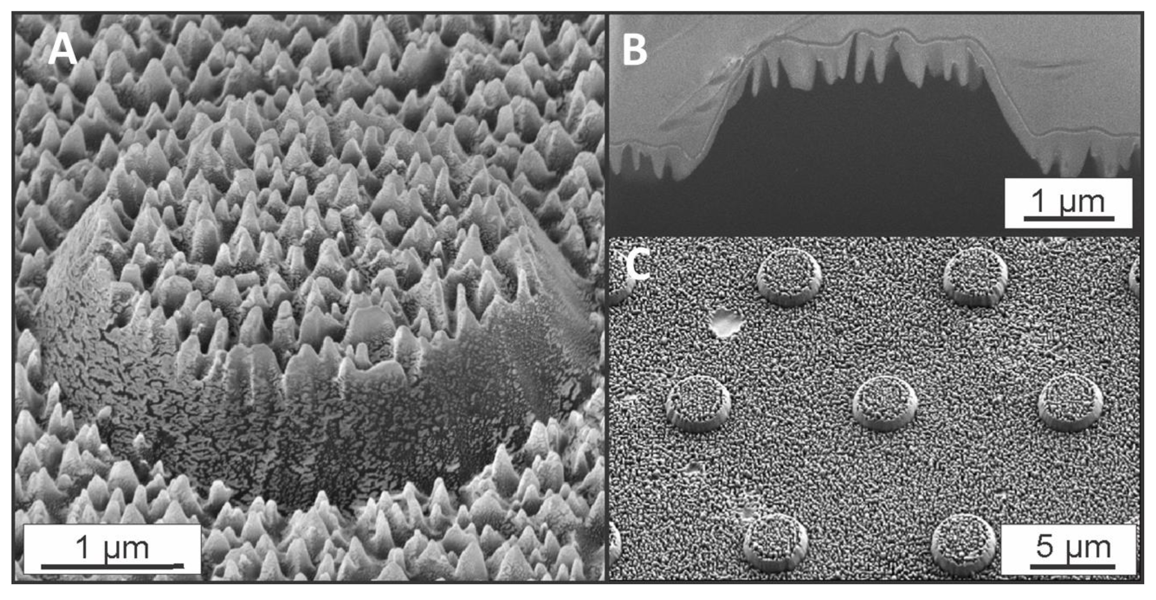 Nanomaterials 08 00831 g001