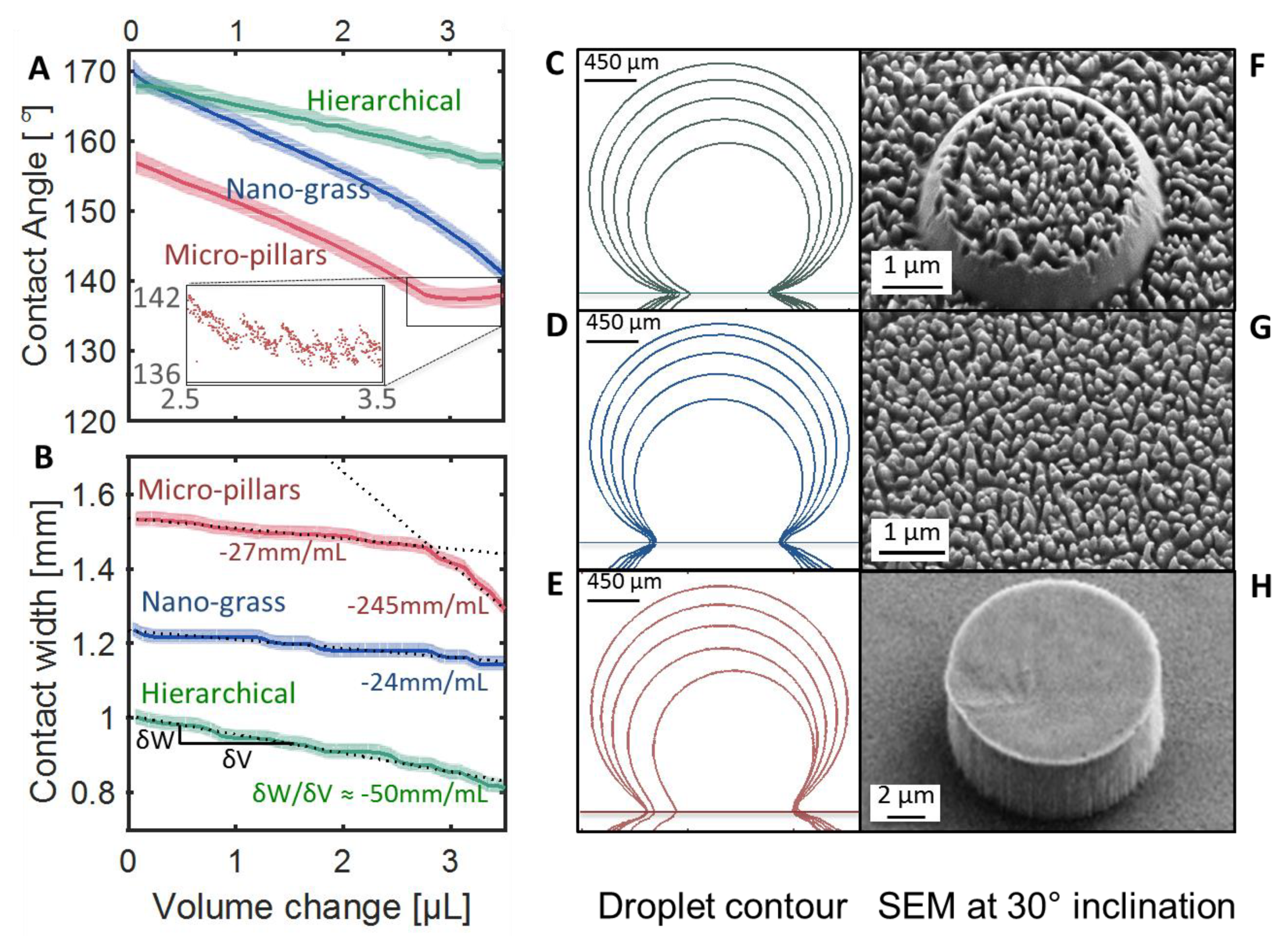 Nanomaterials 08 00831 g002