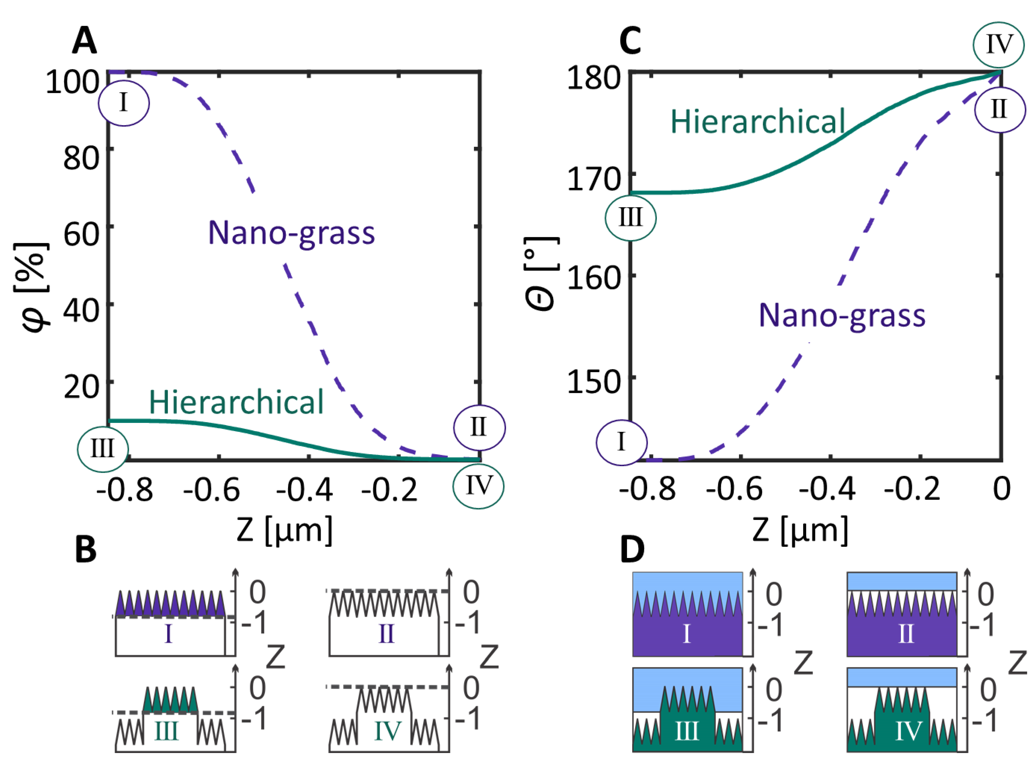 Nanomaterials 08 00831 g003