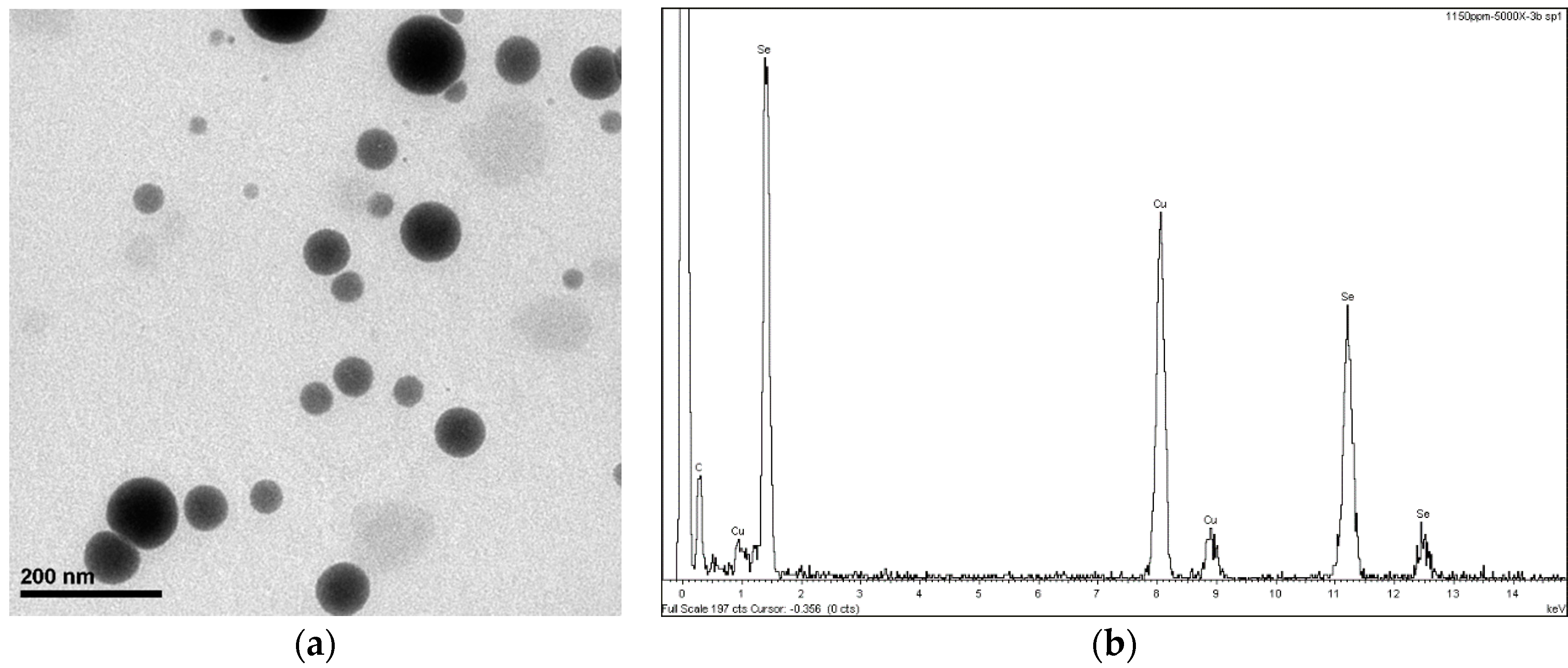 Nanomaterials 08 00837 g001