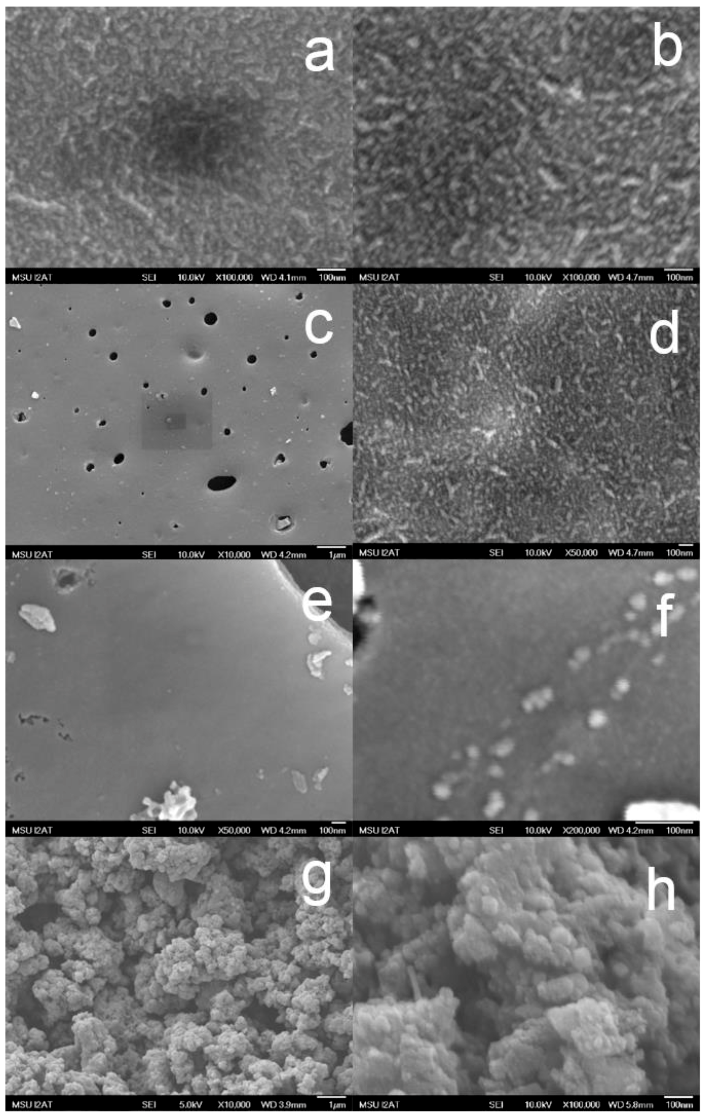 Nanomaterials 08 00840 g005