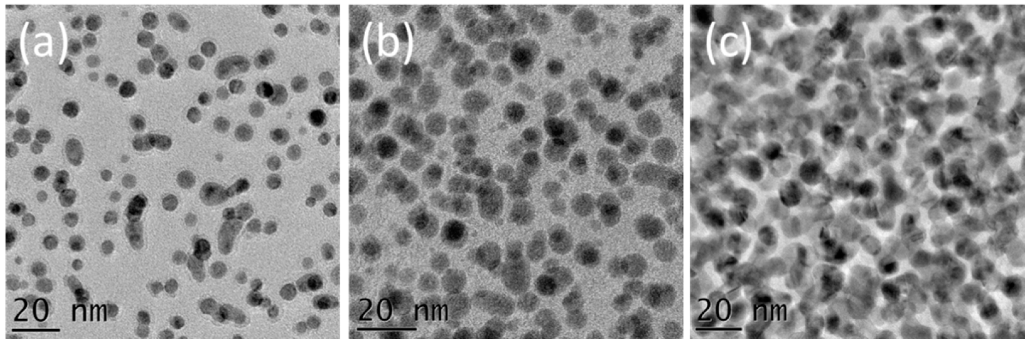 Nanomaterials 08 00849 g001