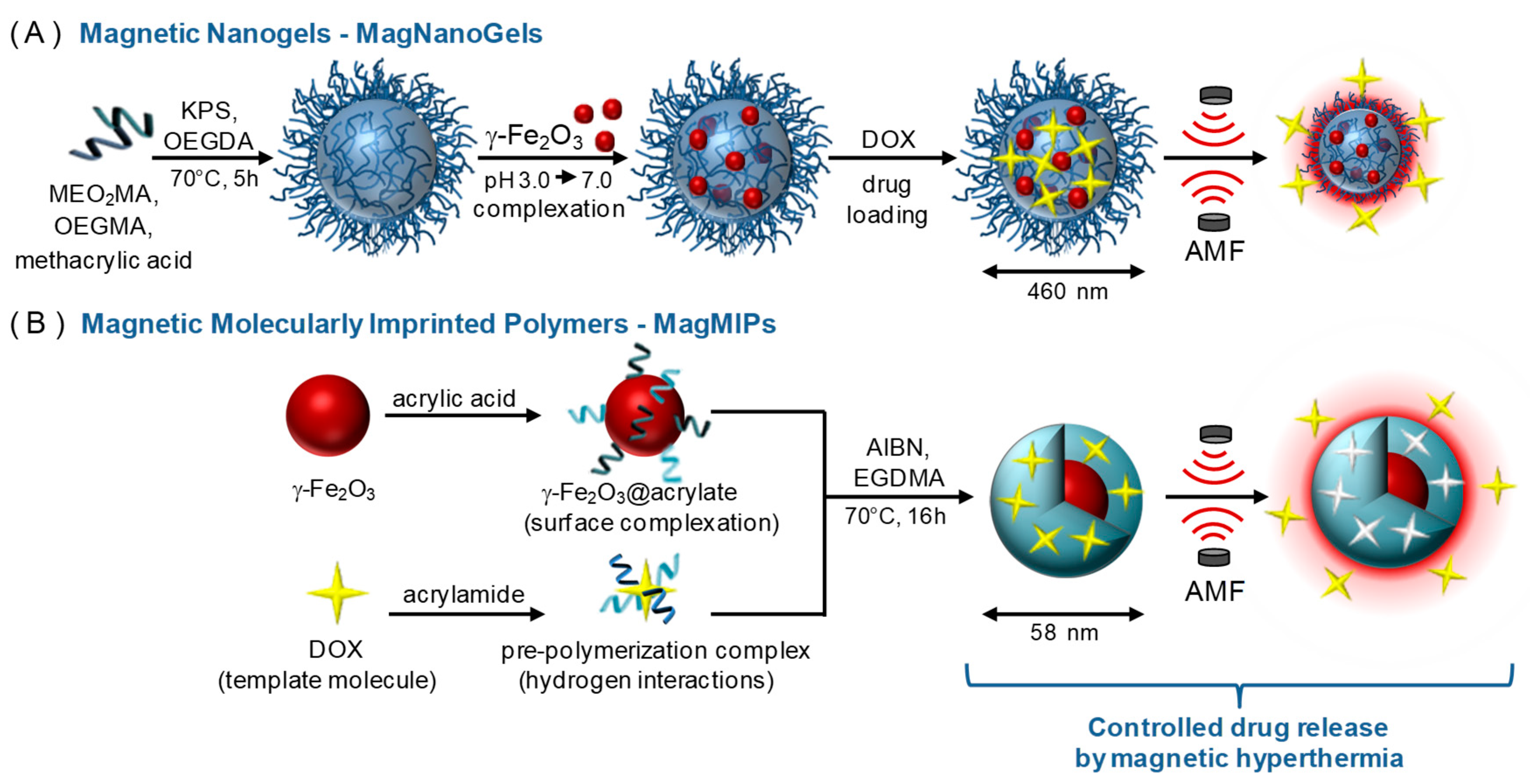 Nanomaterials 08 00850 g001