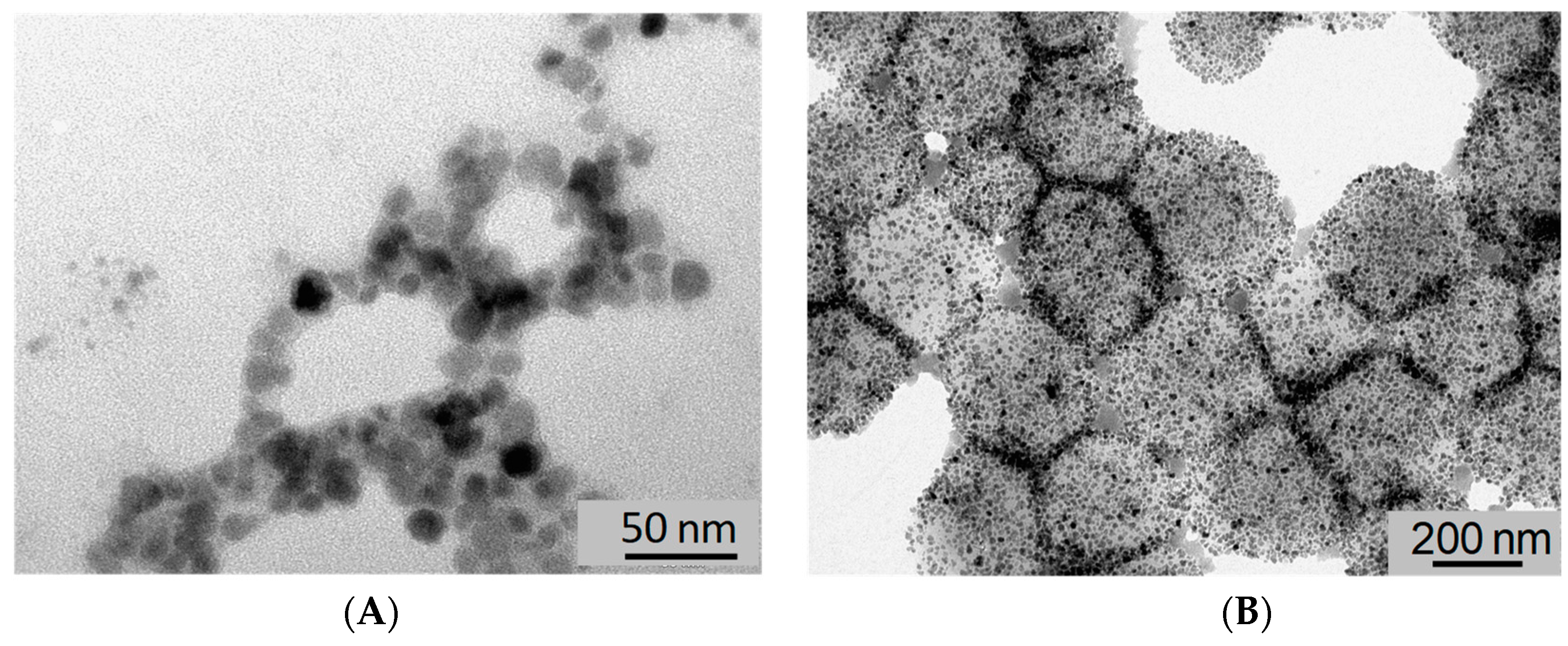 Nanomaterials 08 00850 g002
