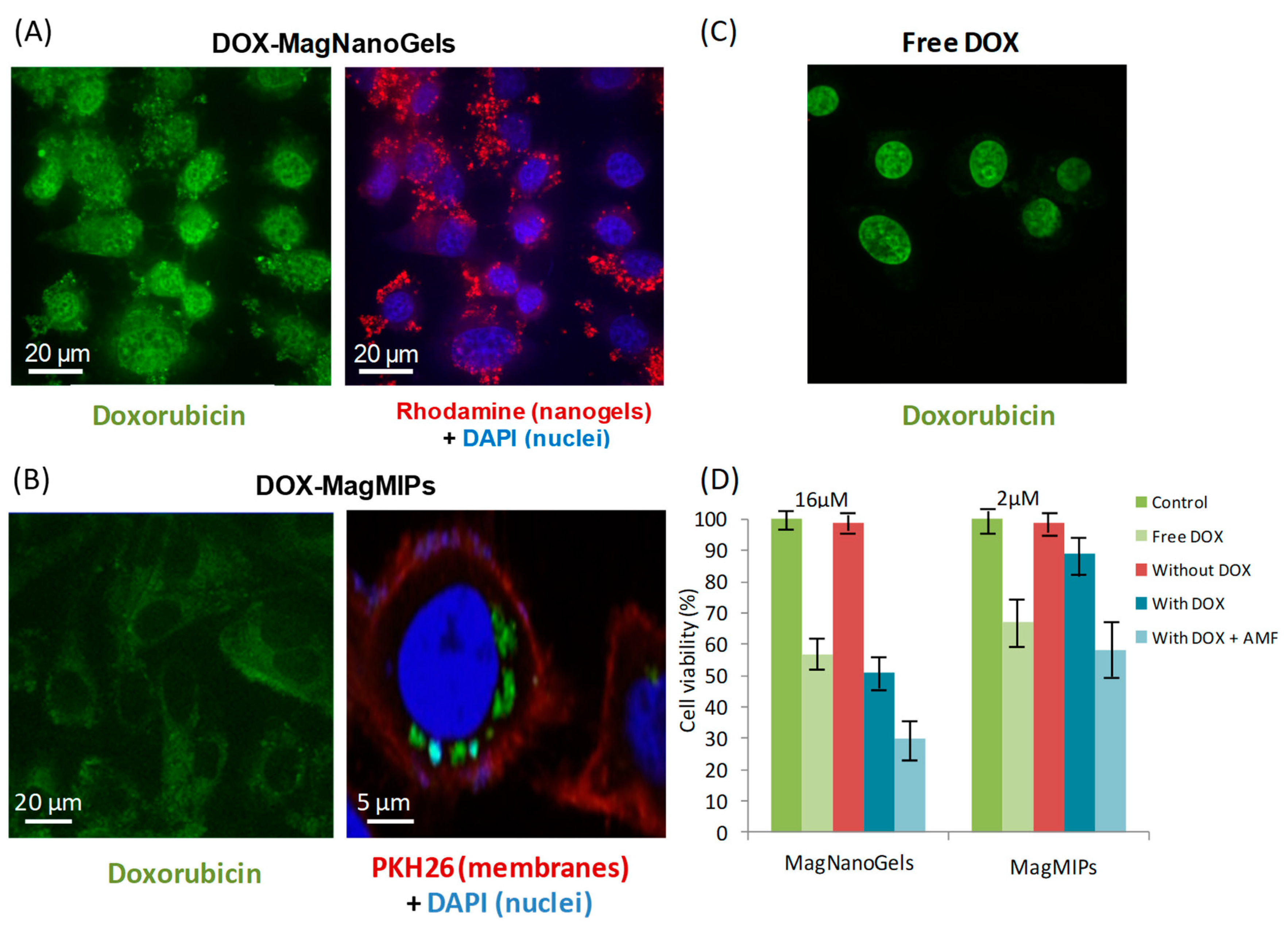 Nanomaterials 08 00850 g005