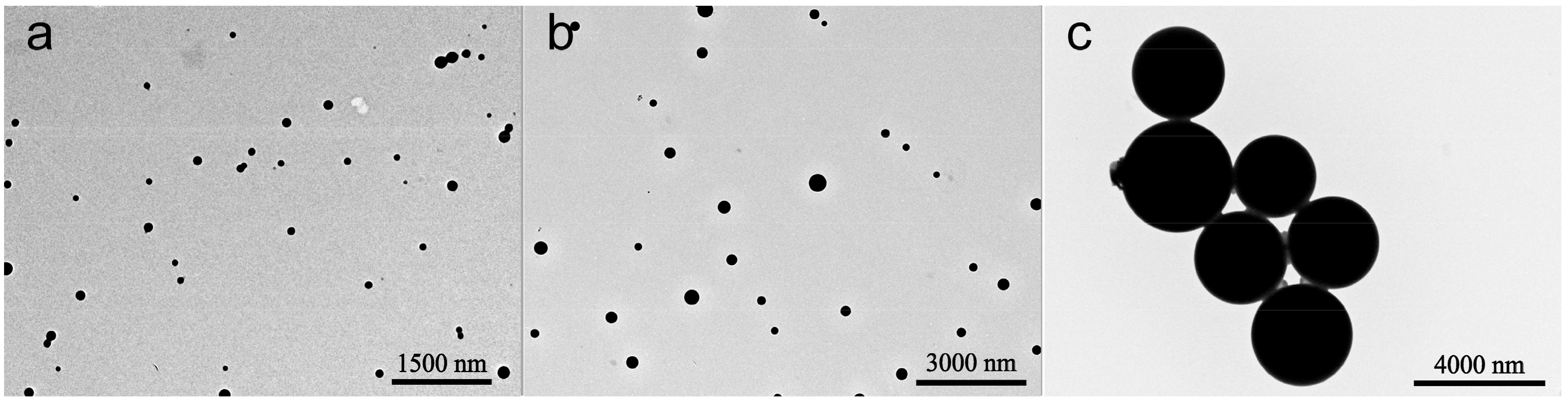 Nanomaterials 08 00857 g005