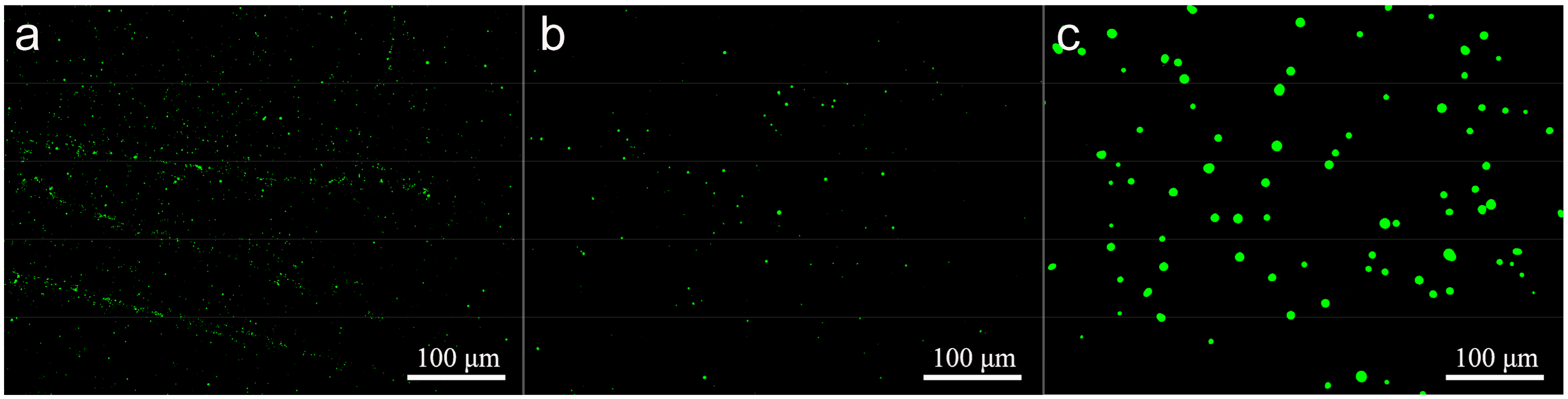 Nanomaterials 08 00857 g012