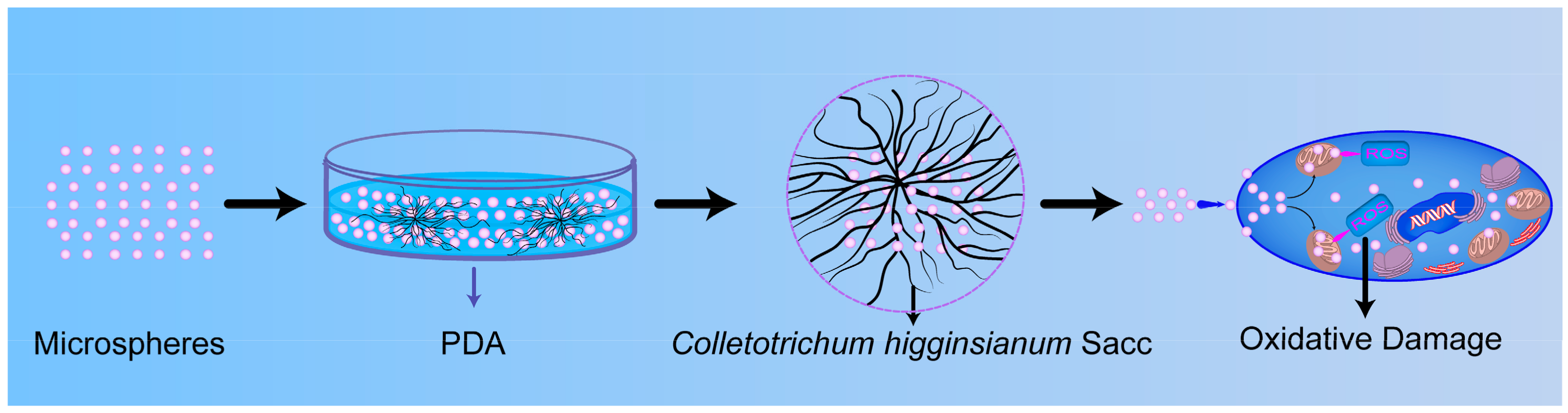 Nanomaterials 08 00857 g016