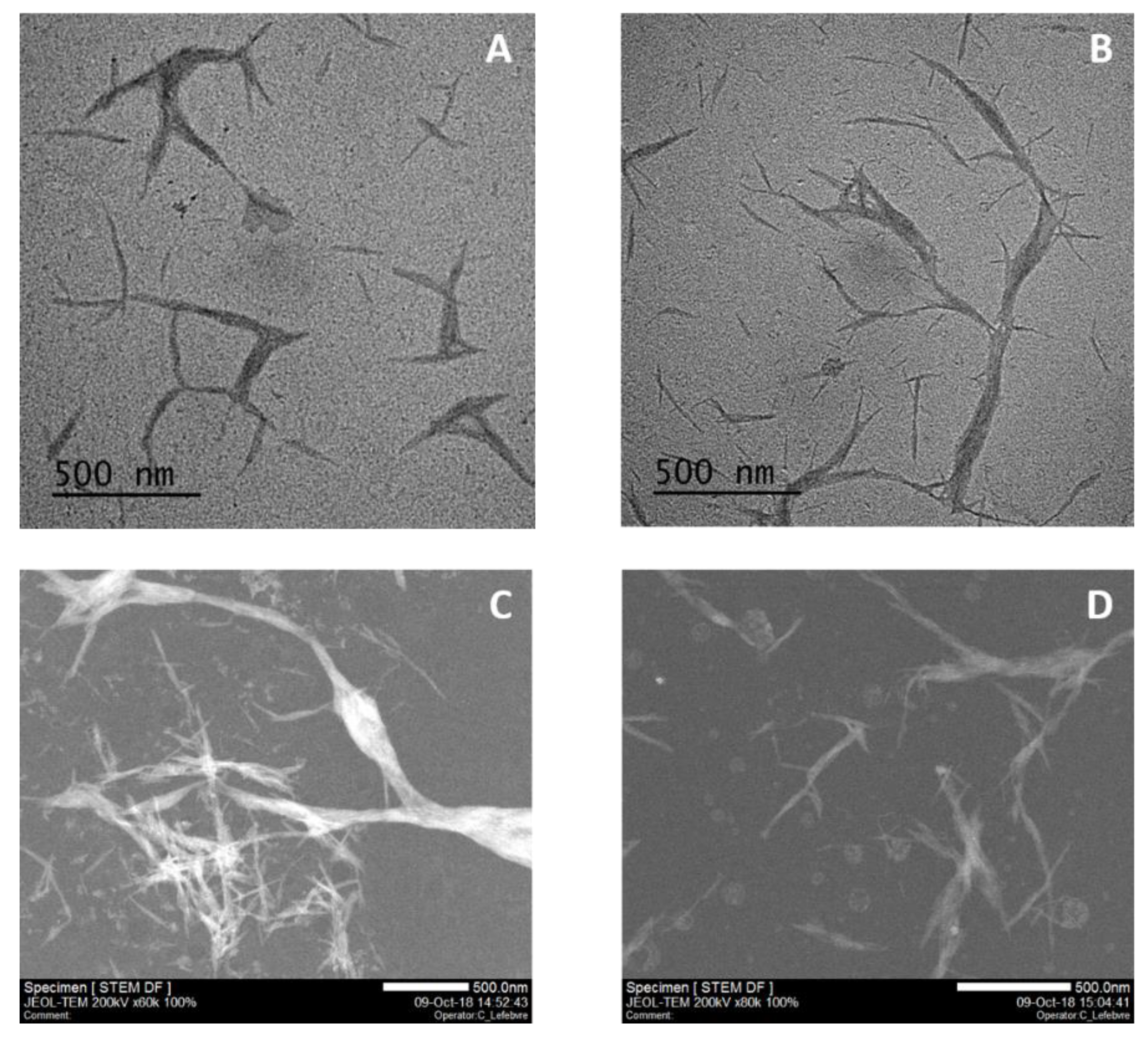 Nanomaterials 08 00859 g004