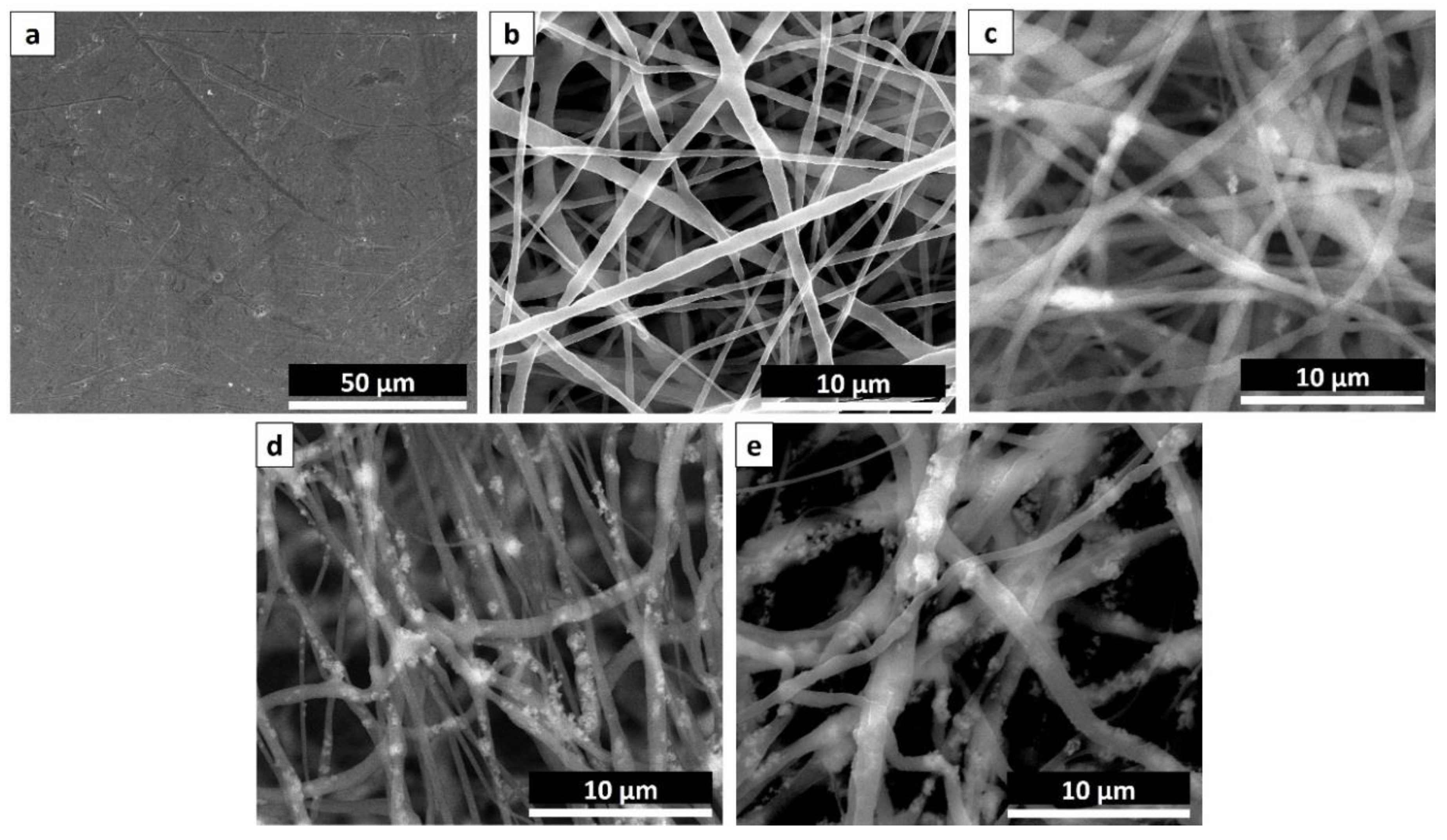 Nanomaterials 08 00860 g001