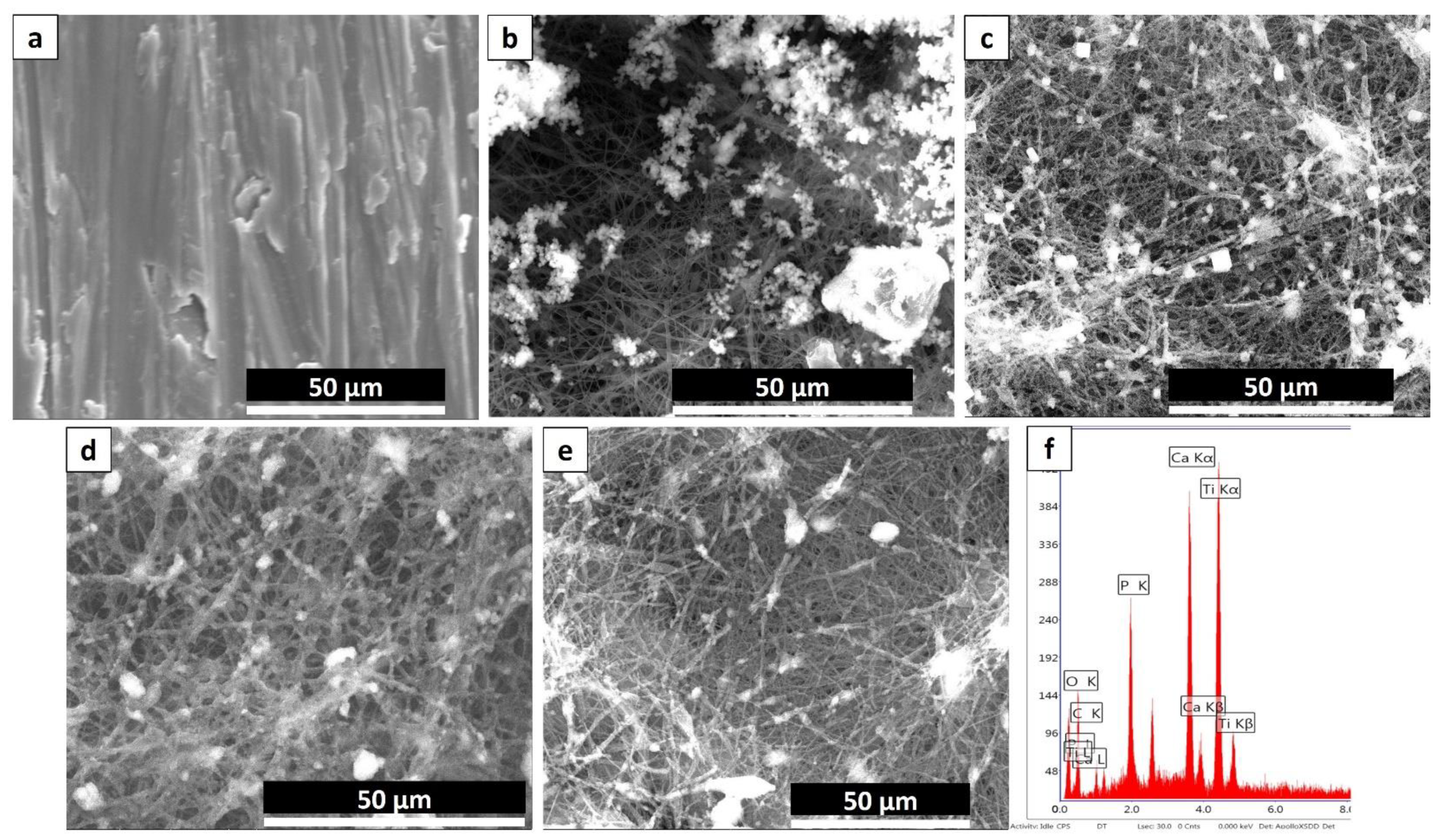 Nanomaterials 08 00860 g004