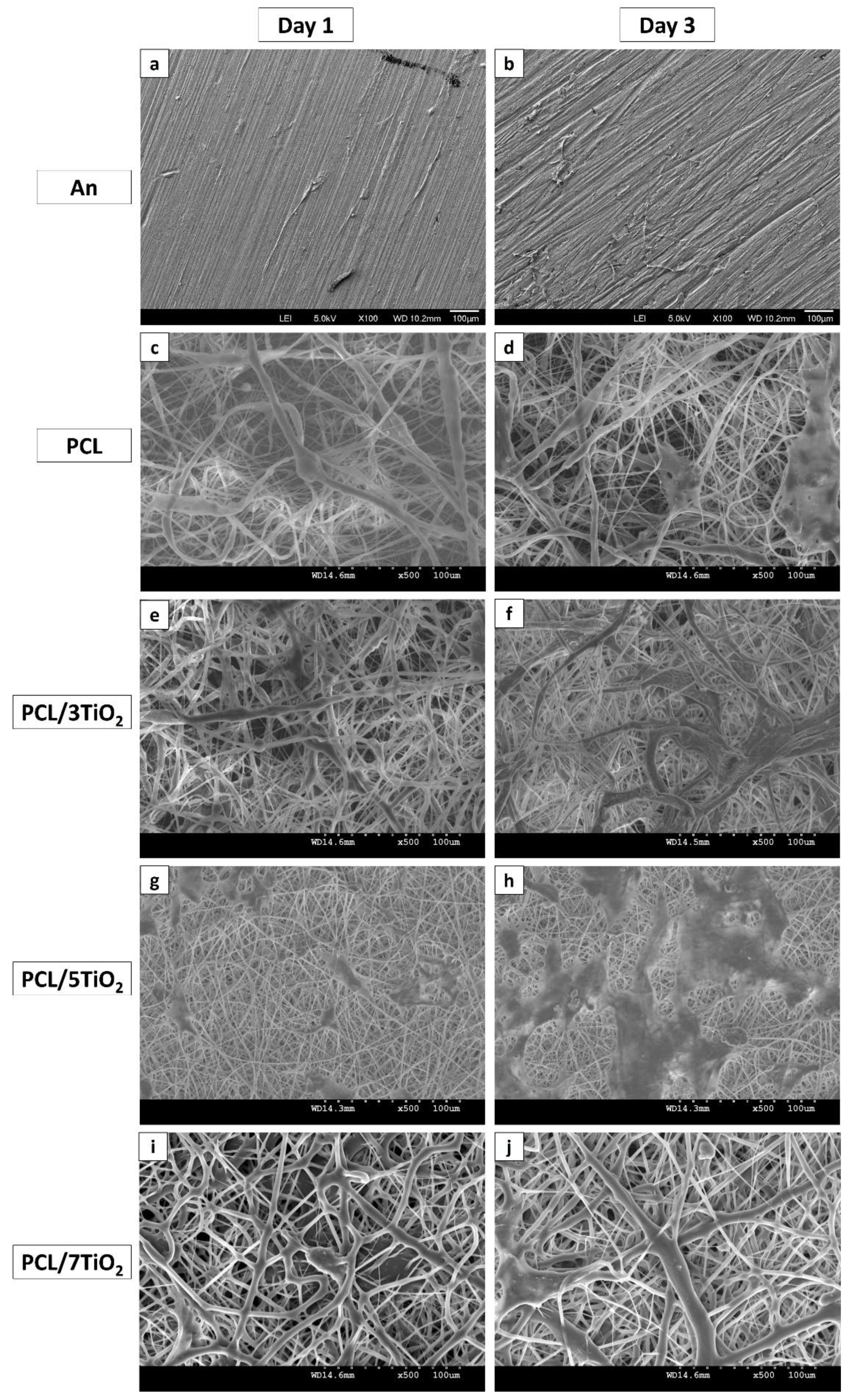 Nanomaterials 08 00860 g006