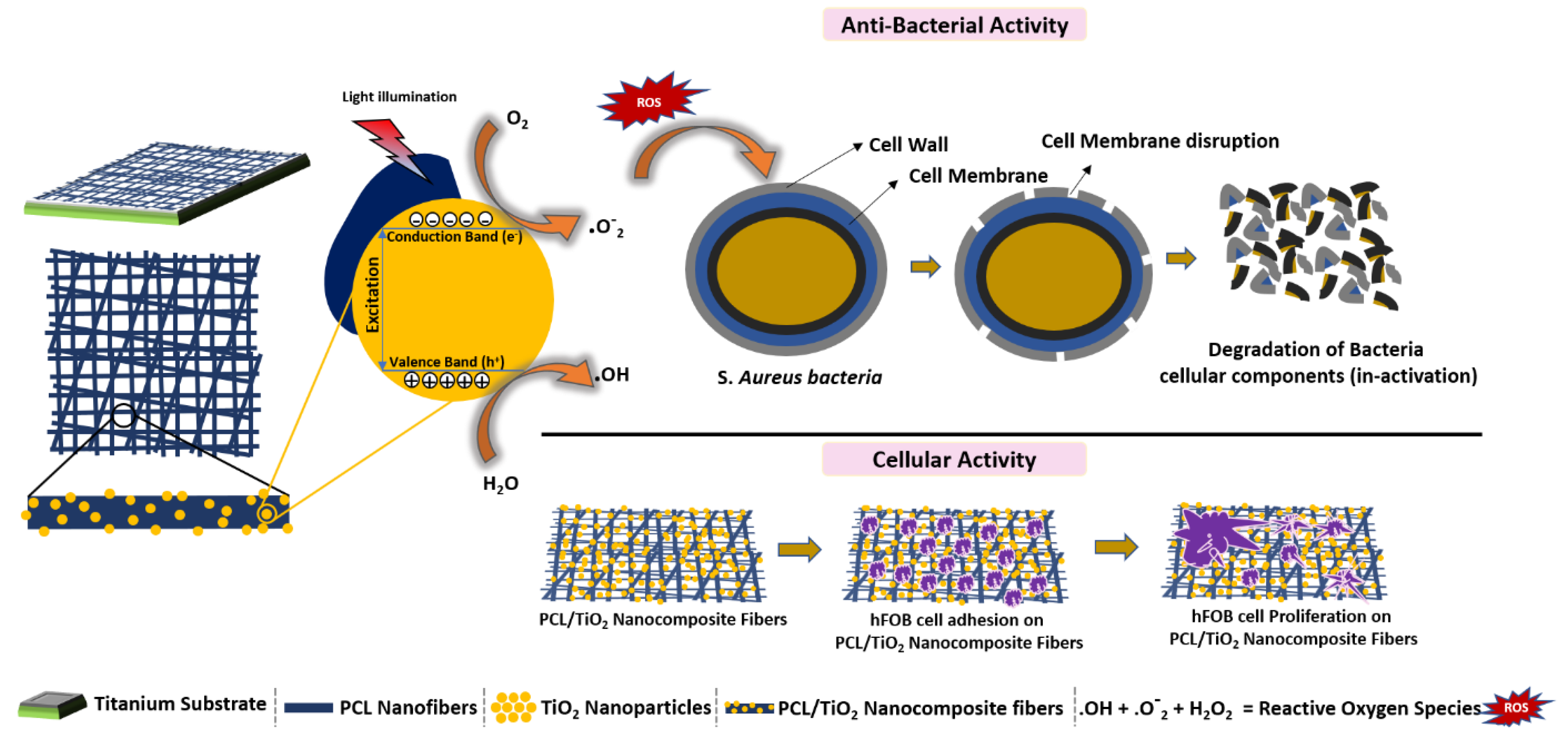 Nanomaterials 08 00860 g008