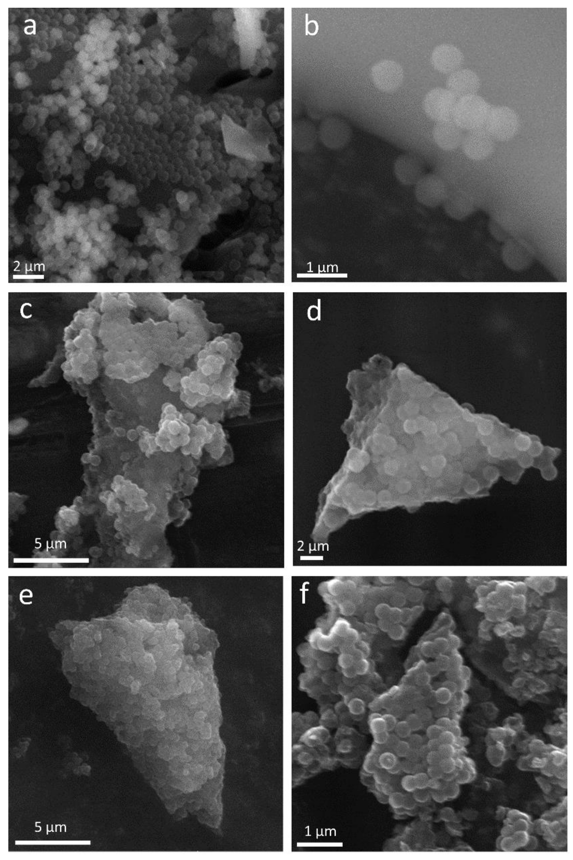 Nanomaterials 08 00861 g002