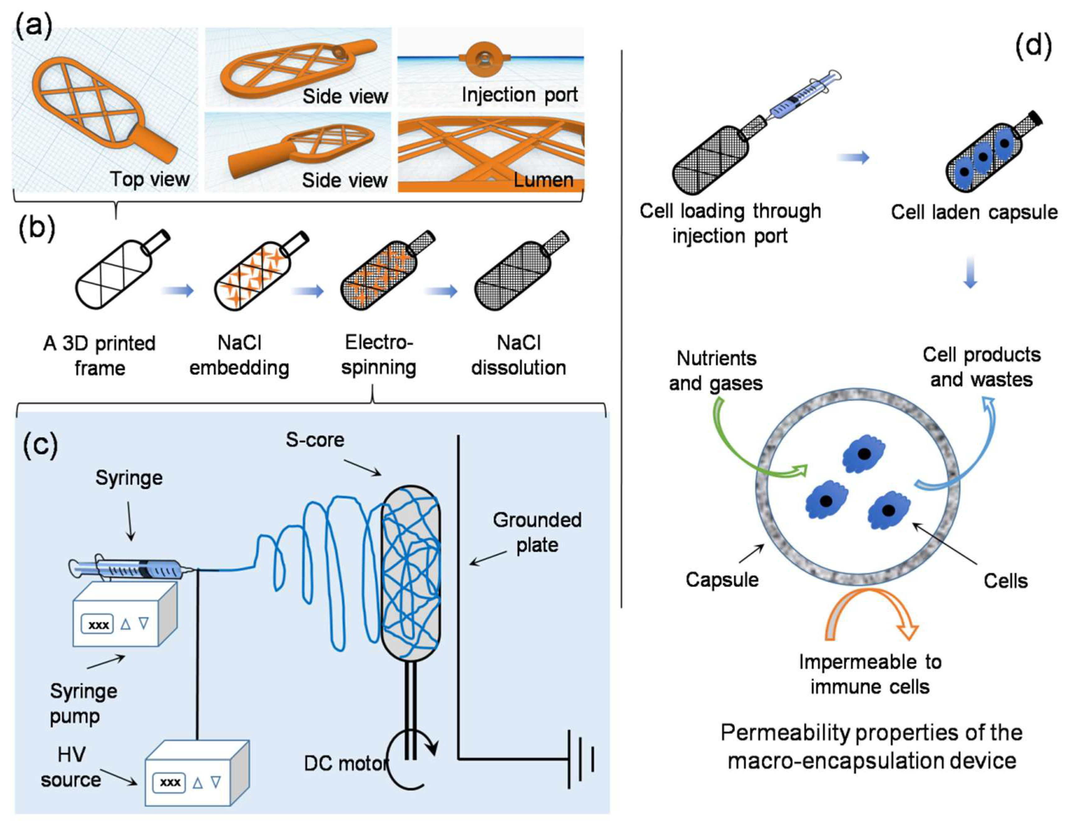 Nanomaterials 08 00863 g001