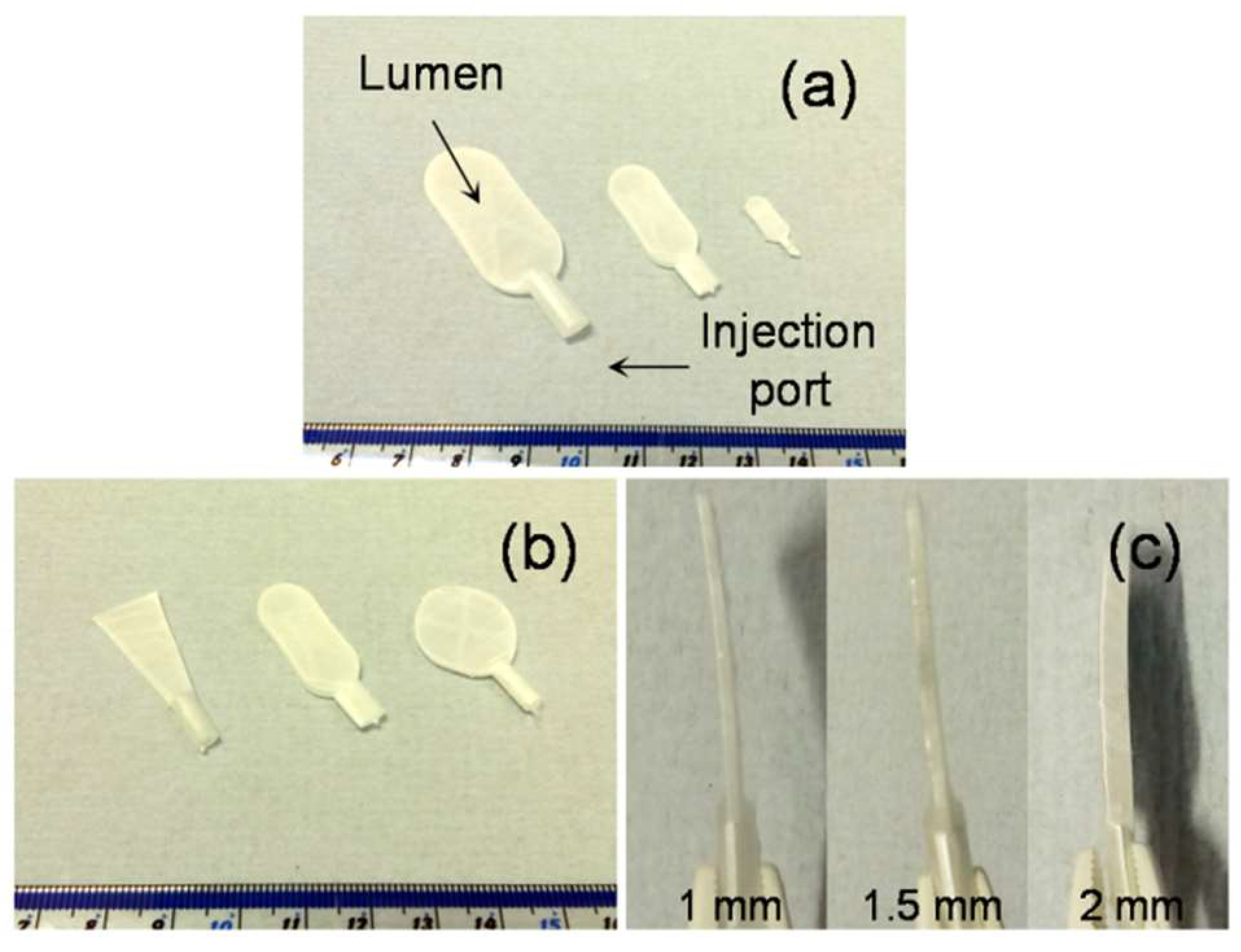 Nanomaterials 08 00863 g002