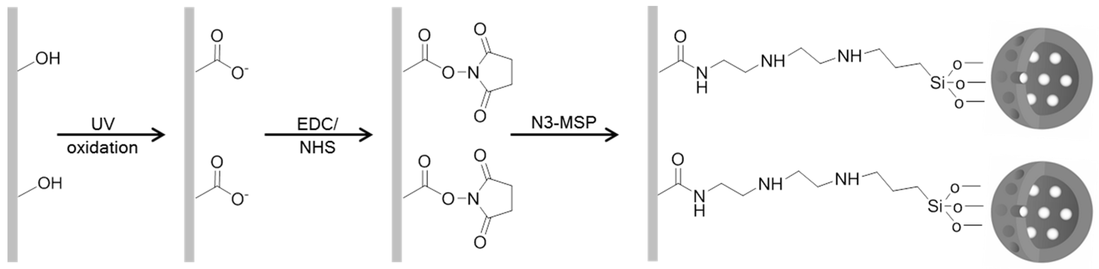 Nanomaterials 08 00865 g001