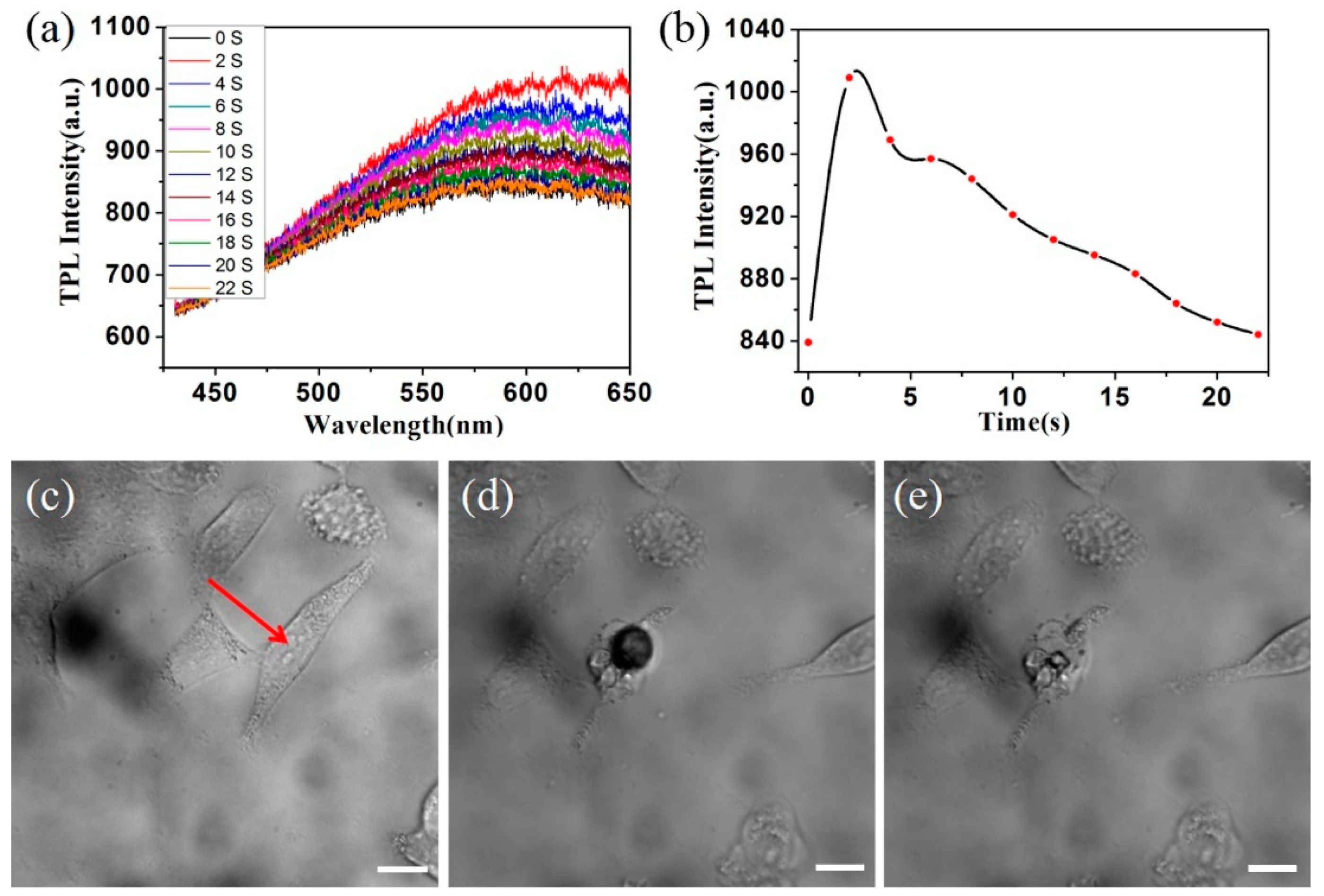 Nanomaterials 08 00880 g006 Nanomaterials 08 00880 g006