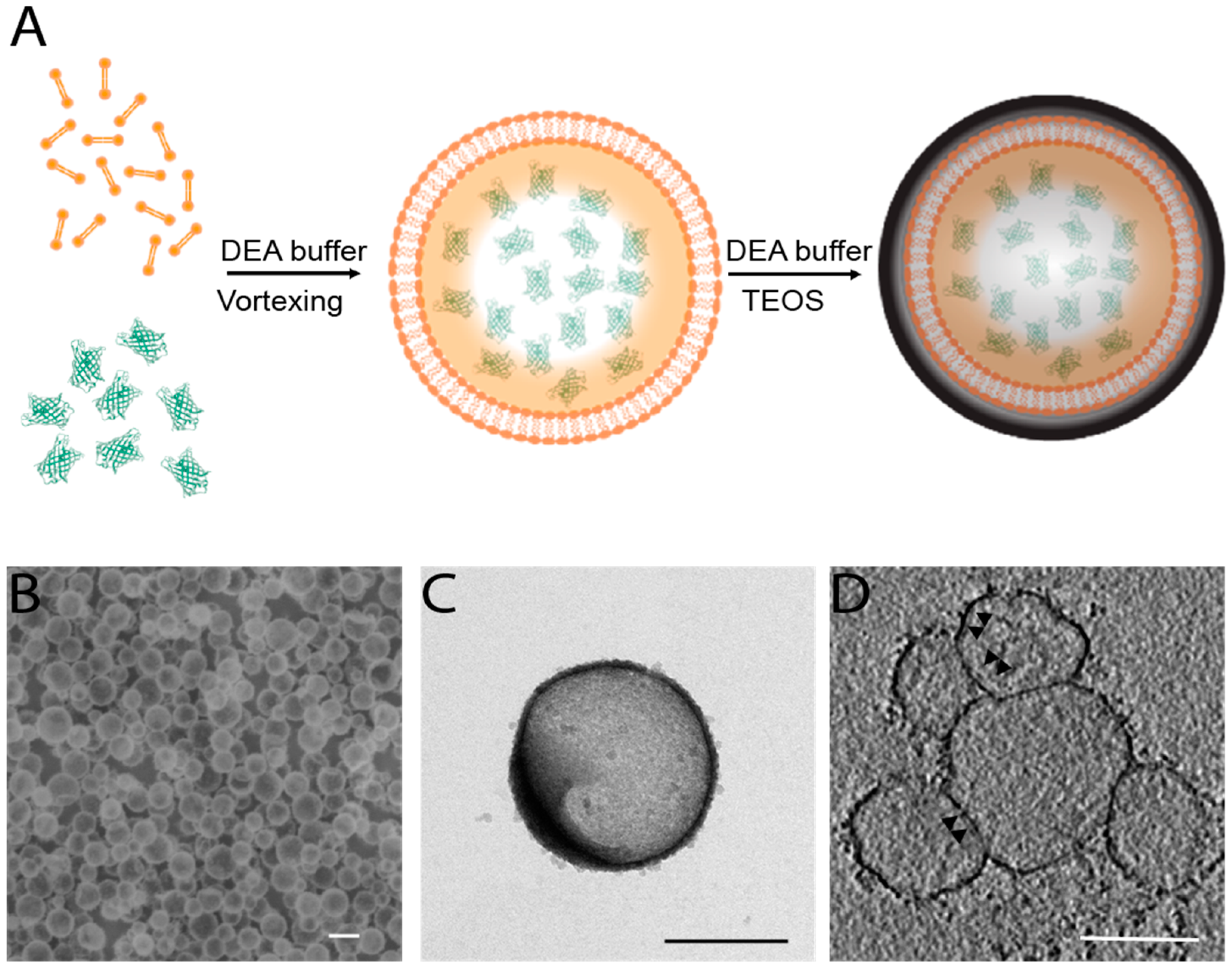 Nanomaterials 08 00886 g001 Nanomaterials 08 00886 g001