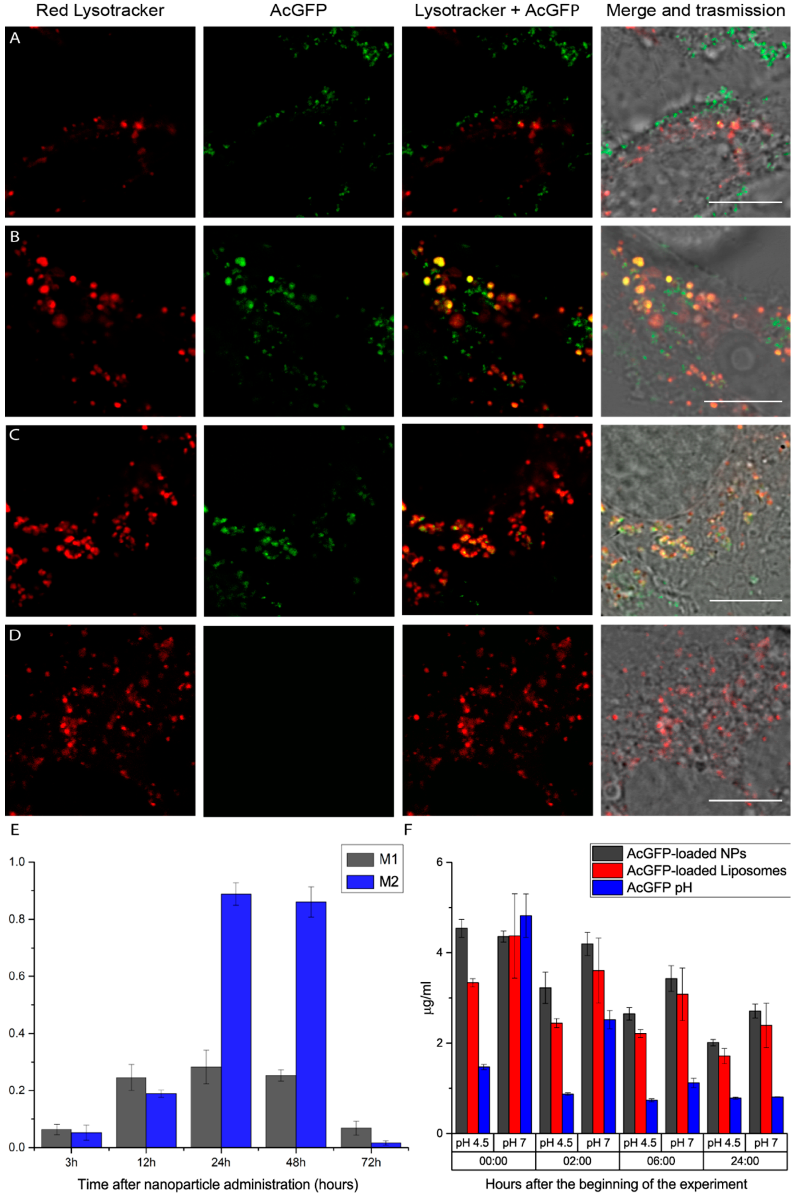 Nanomaterials 08 00886 g002 Nanomaterials 08 00886 g002