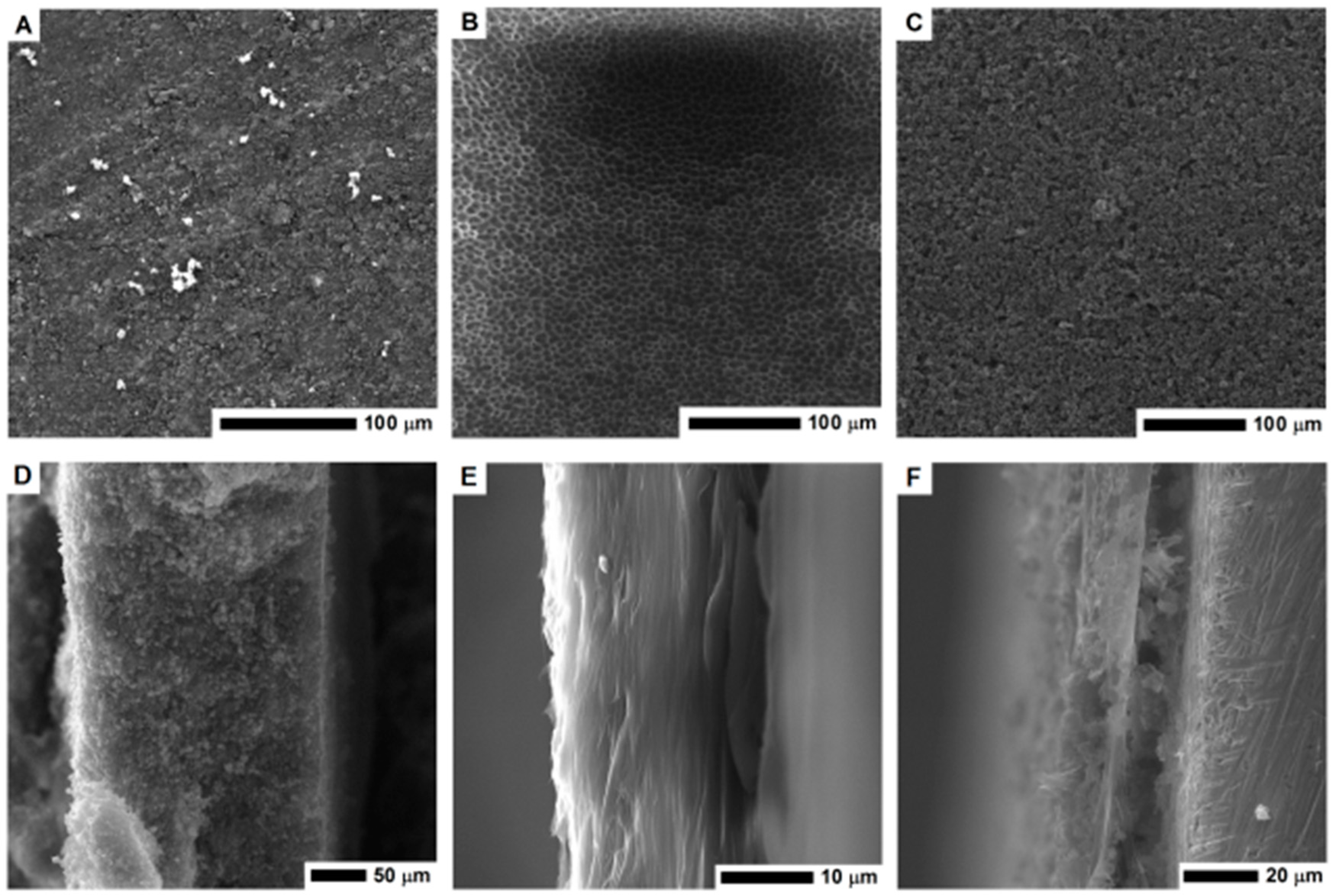 Nanomaterials 08 00890 g003