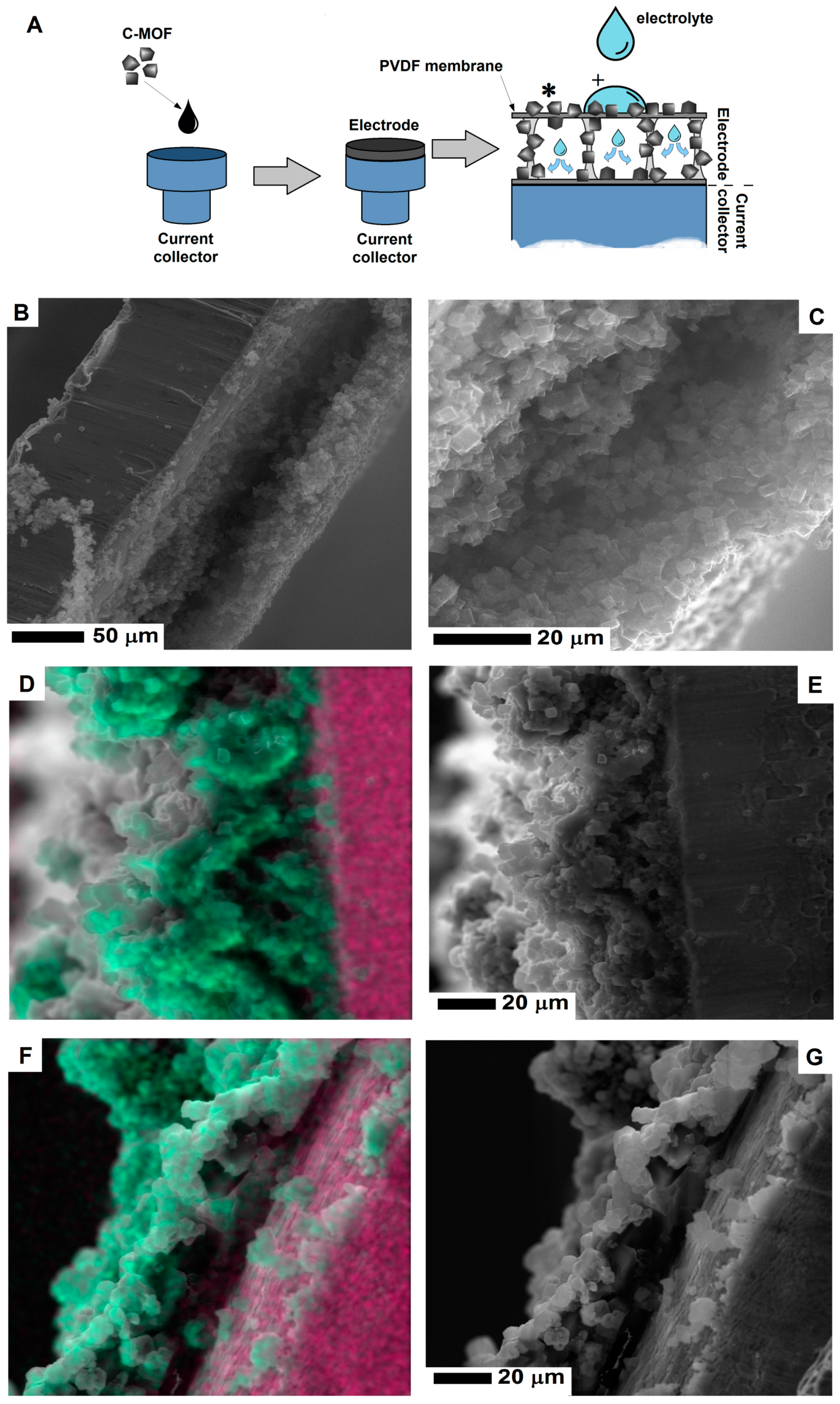 Nanomaterials 08 00890 g005