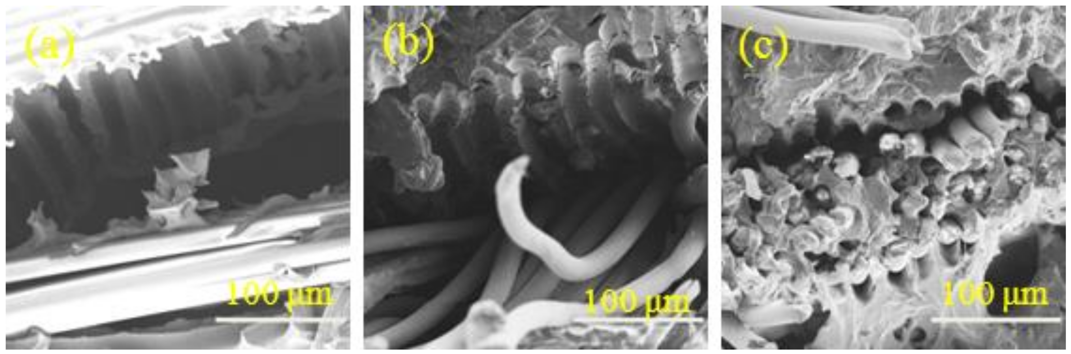 Nanomaterials 08 00898 g012 Nanomaterials 08 00898 g012