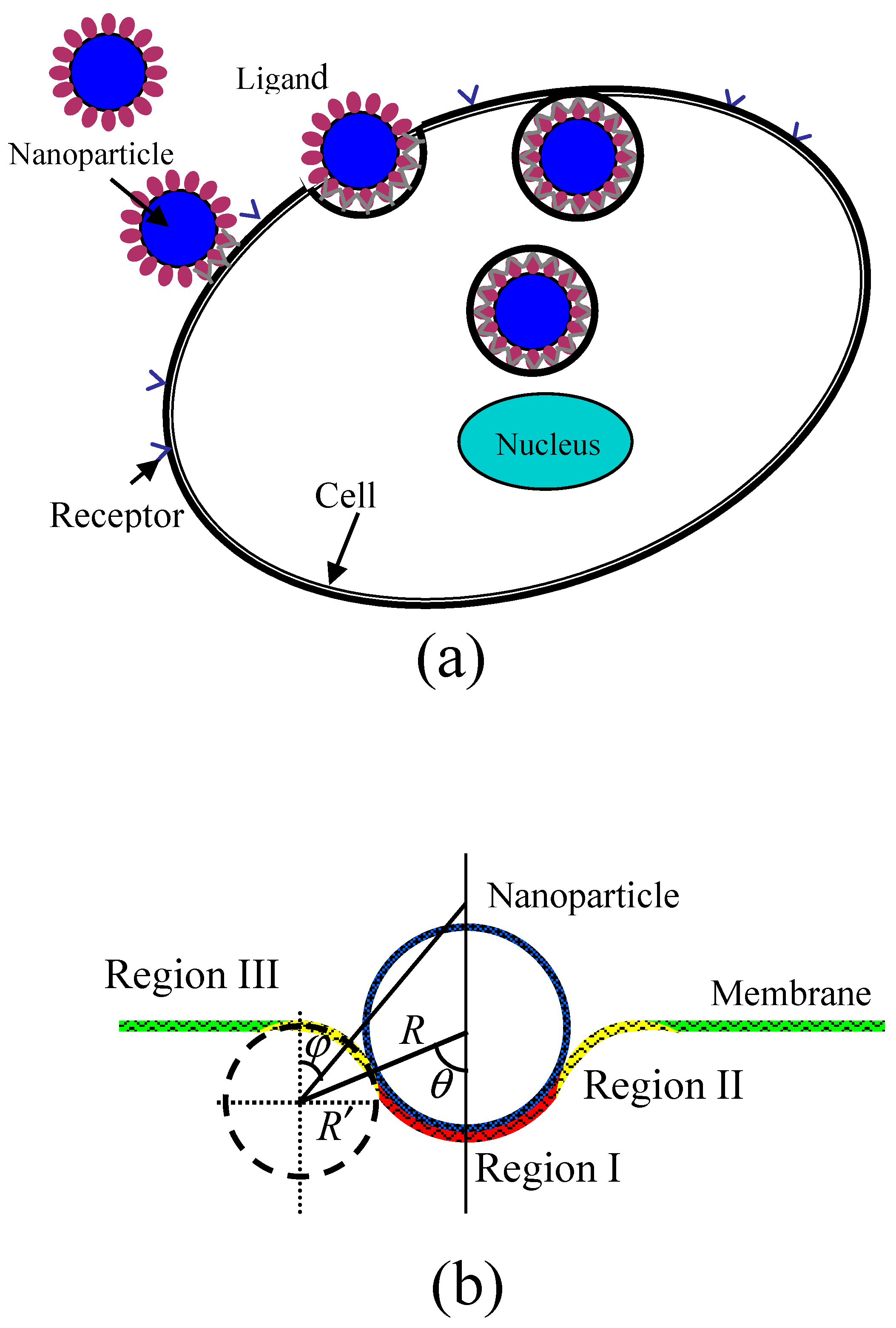Nanomaterials 08 00899 g001