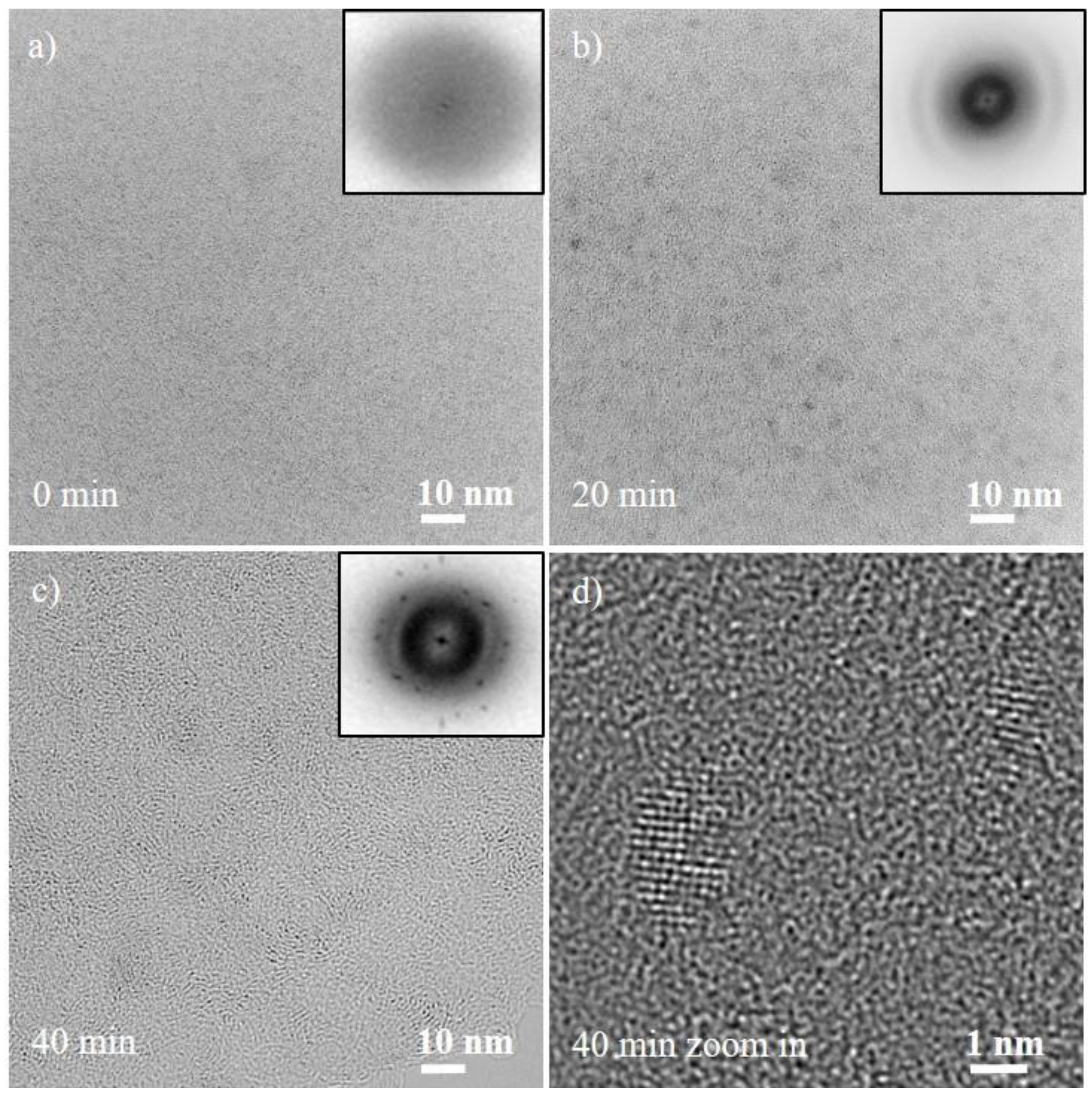 Nanomaterials 08 00903 g001