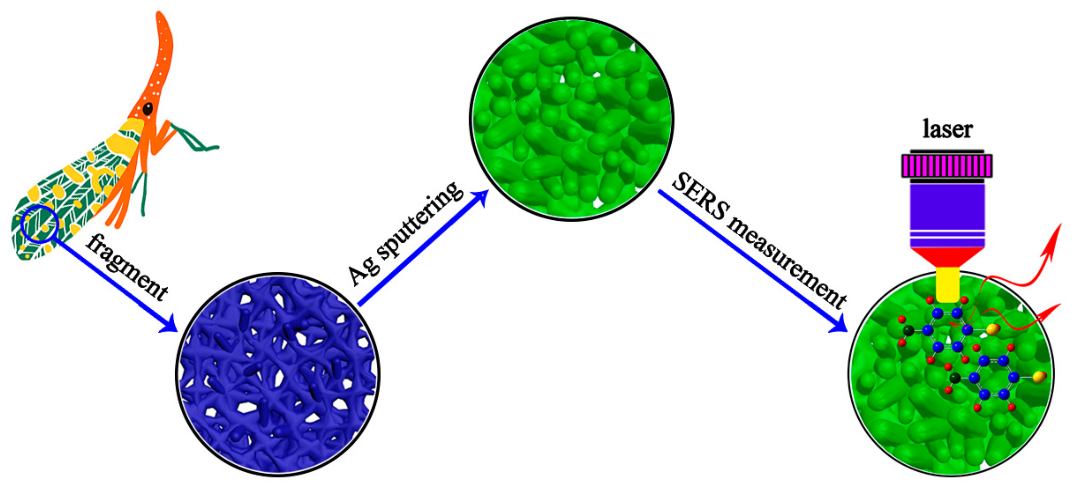 Nanomaterials 08 00905 g001