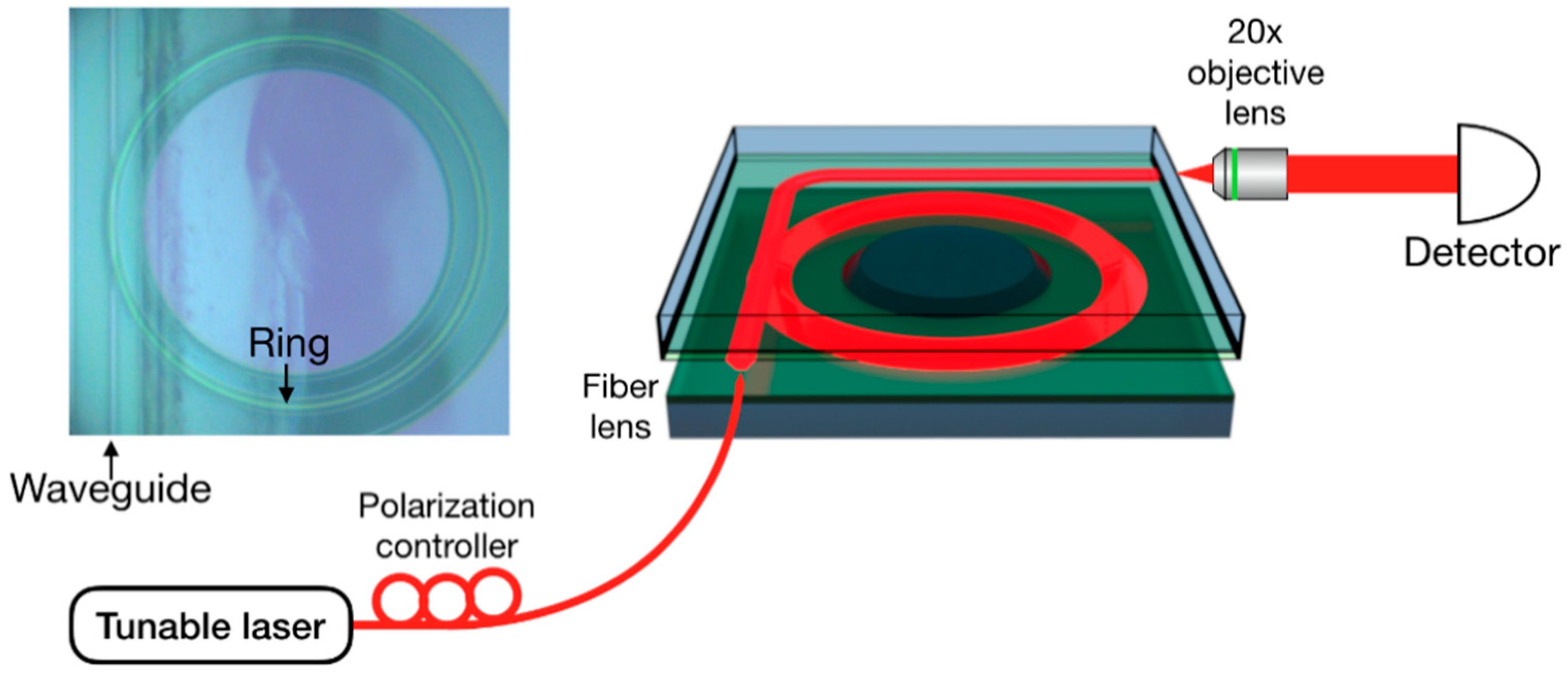 Nanomaterials 08 00910 g002 Nanomaterials 08 00910 g002