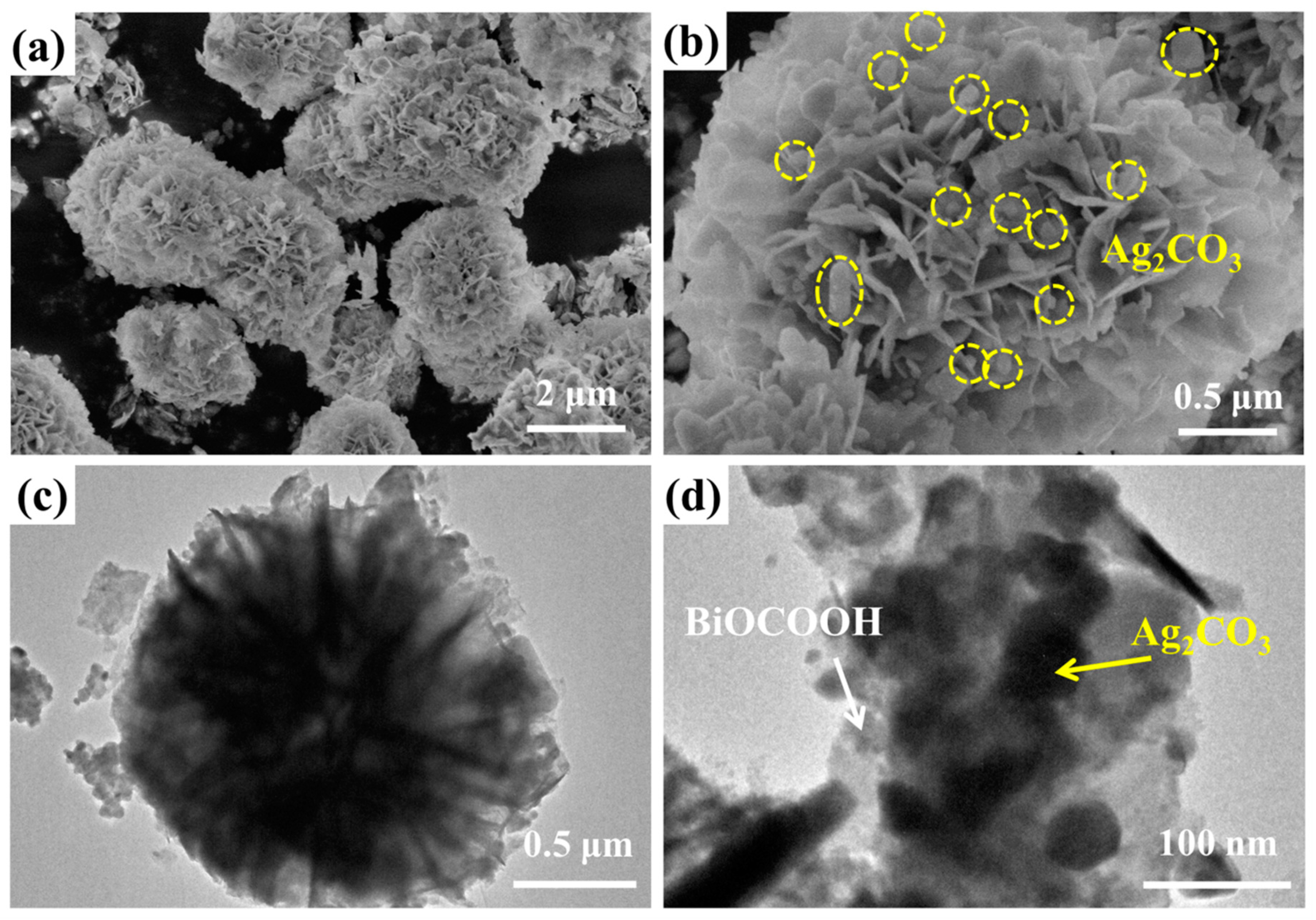 Nanomaterials 08 00914 g002