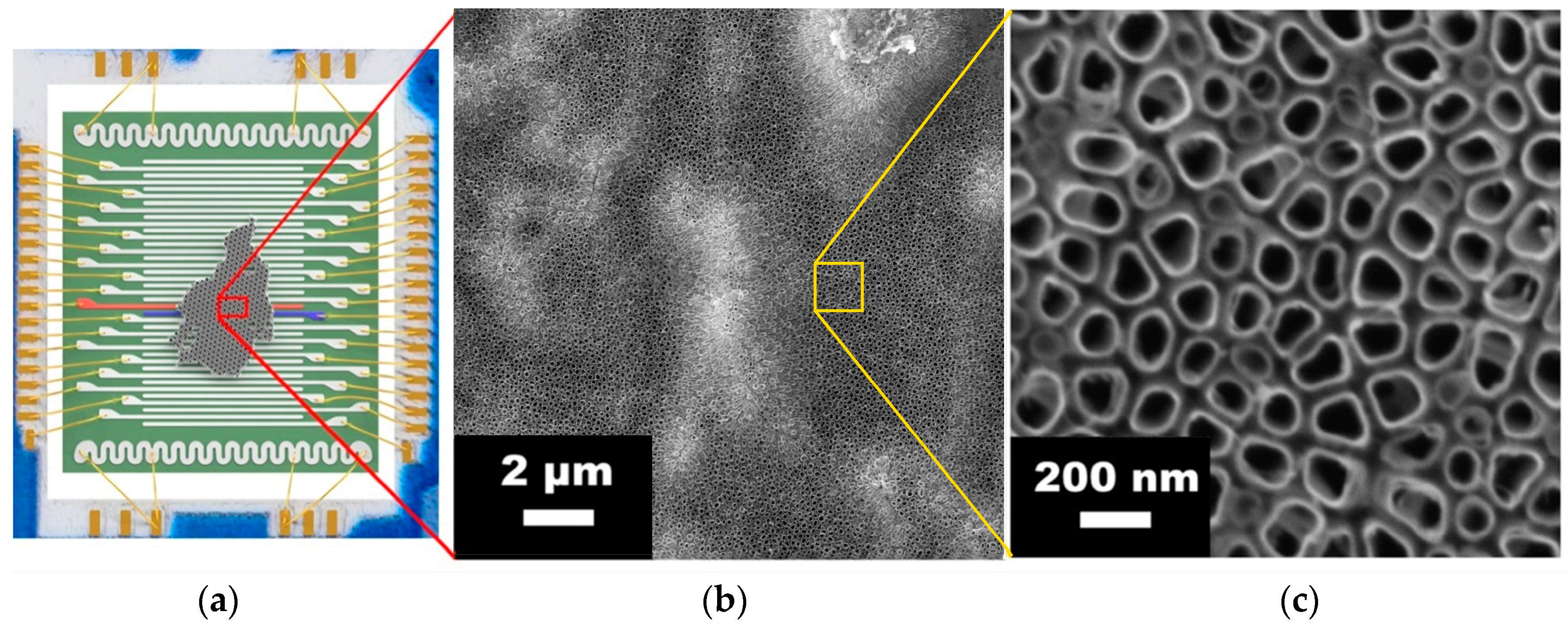 Nanomaterials 08 00915 g001