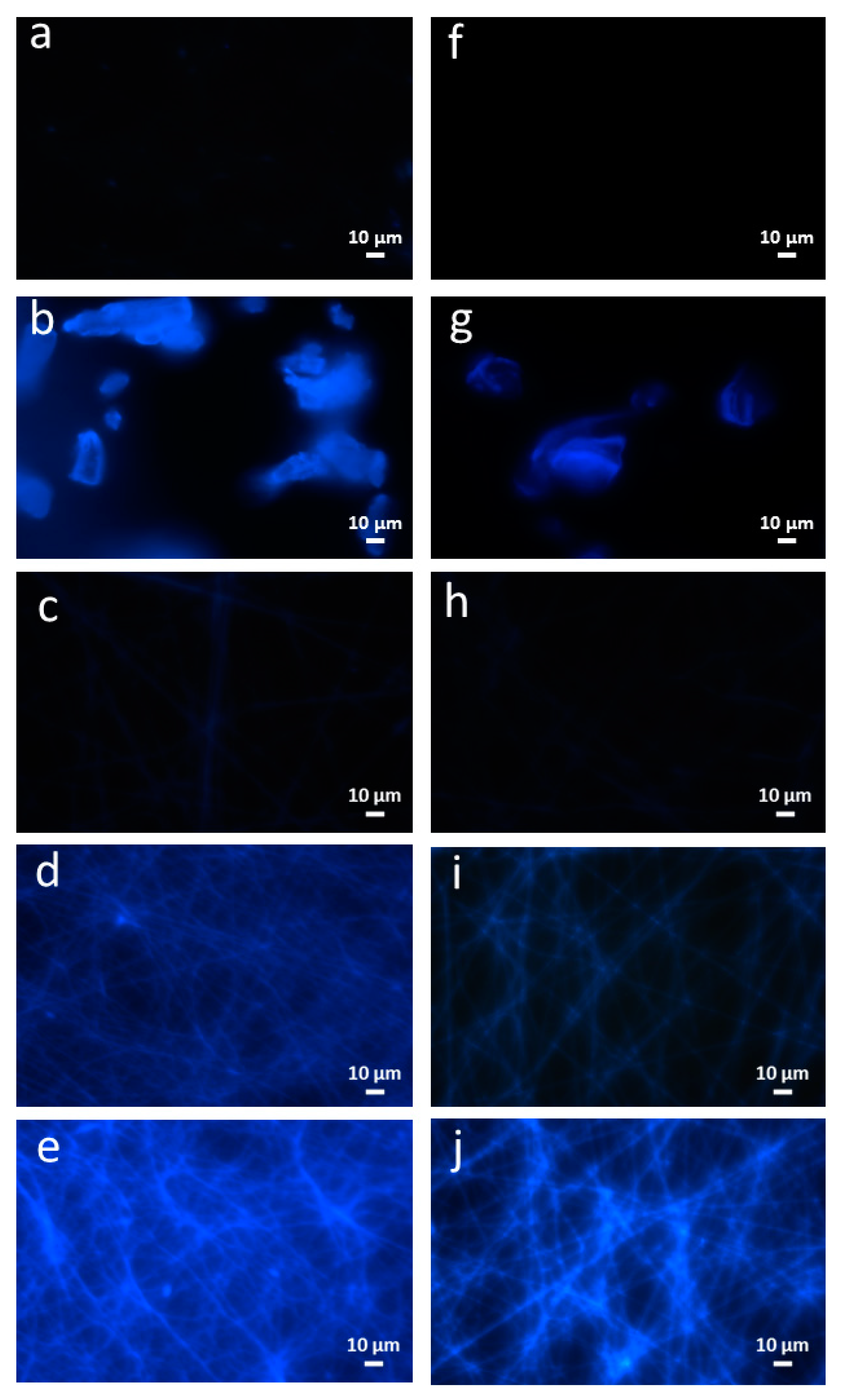 Nanomaterials 08 00919 g002 Nanomaterials 08 00919 g002