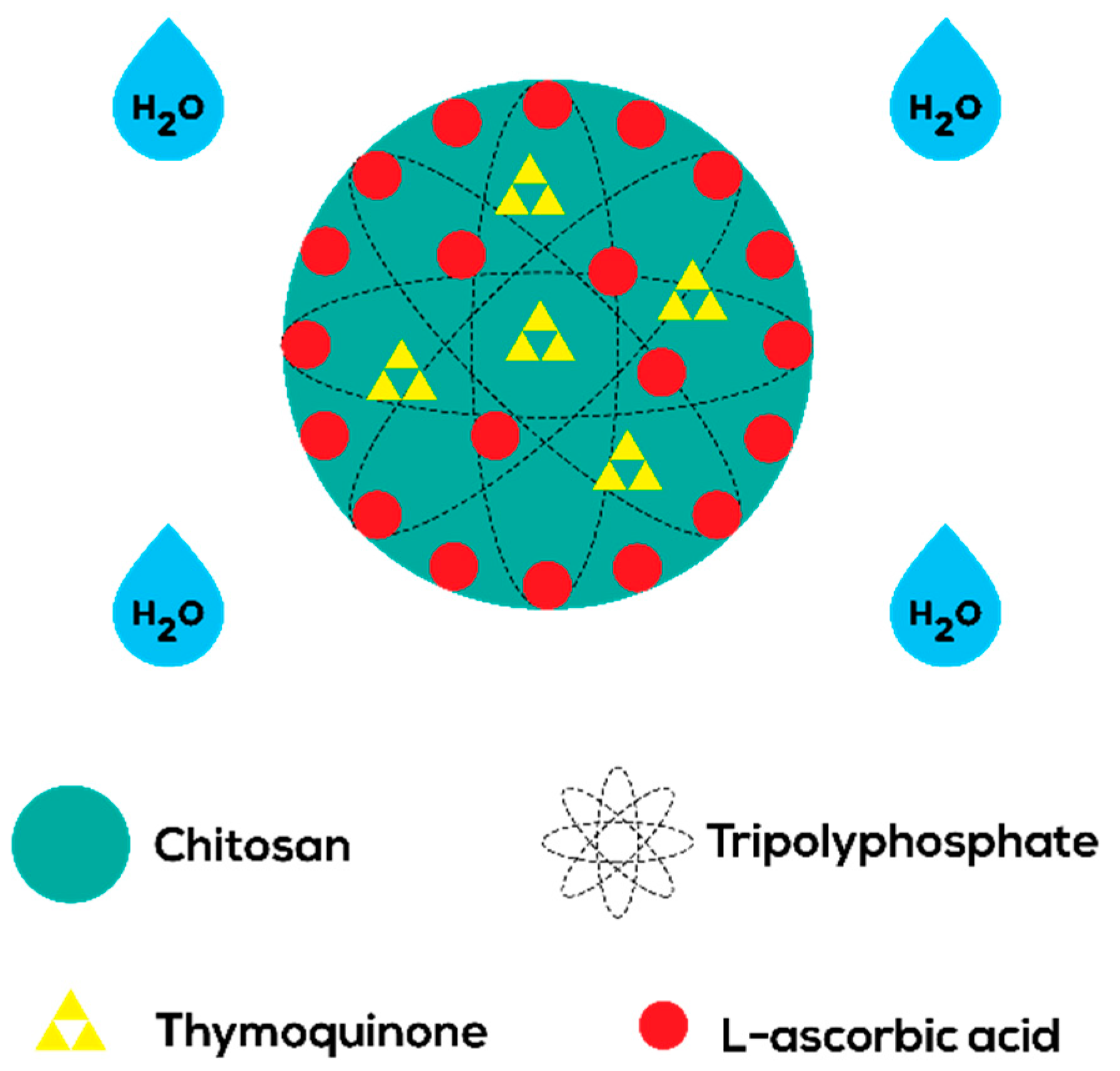 Nanomaterials 08 00920 g002 Nanomaterials 08 00920 g002