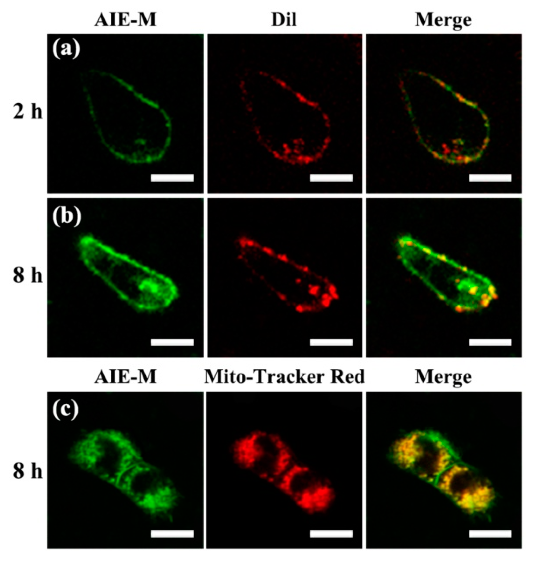Nanomaterials 08 00921 g006