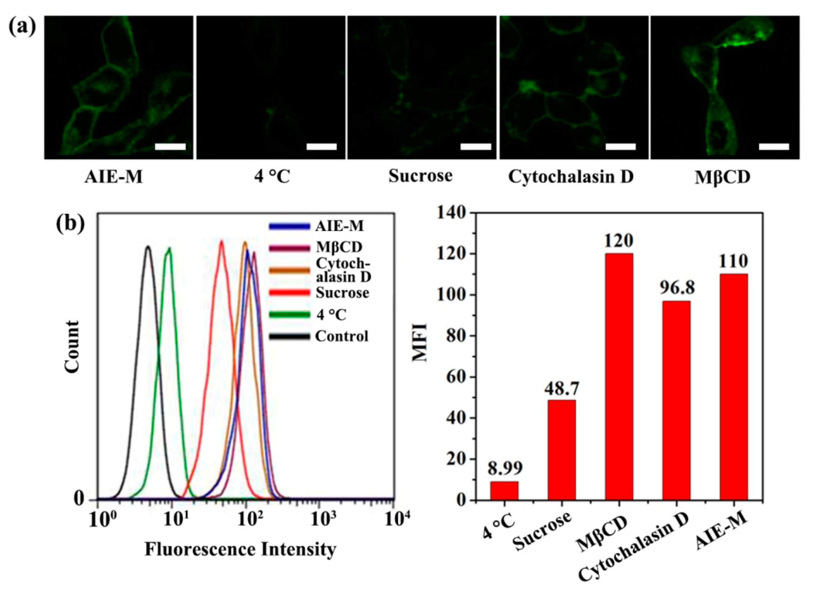 Nanomaterials 08 00921 g007