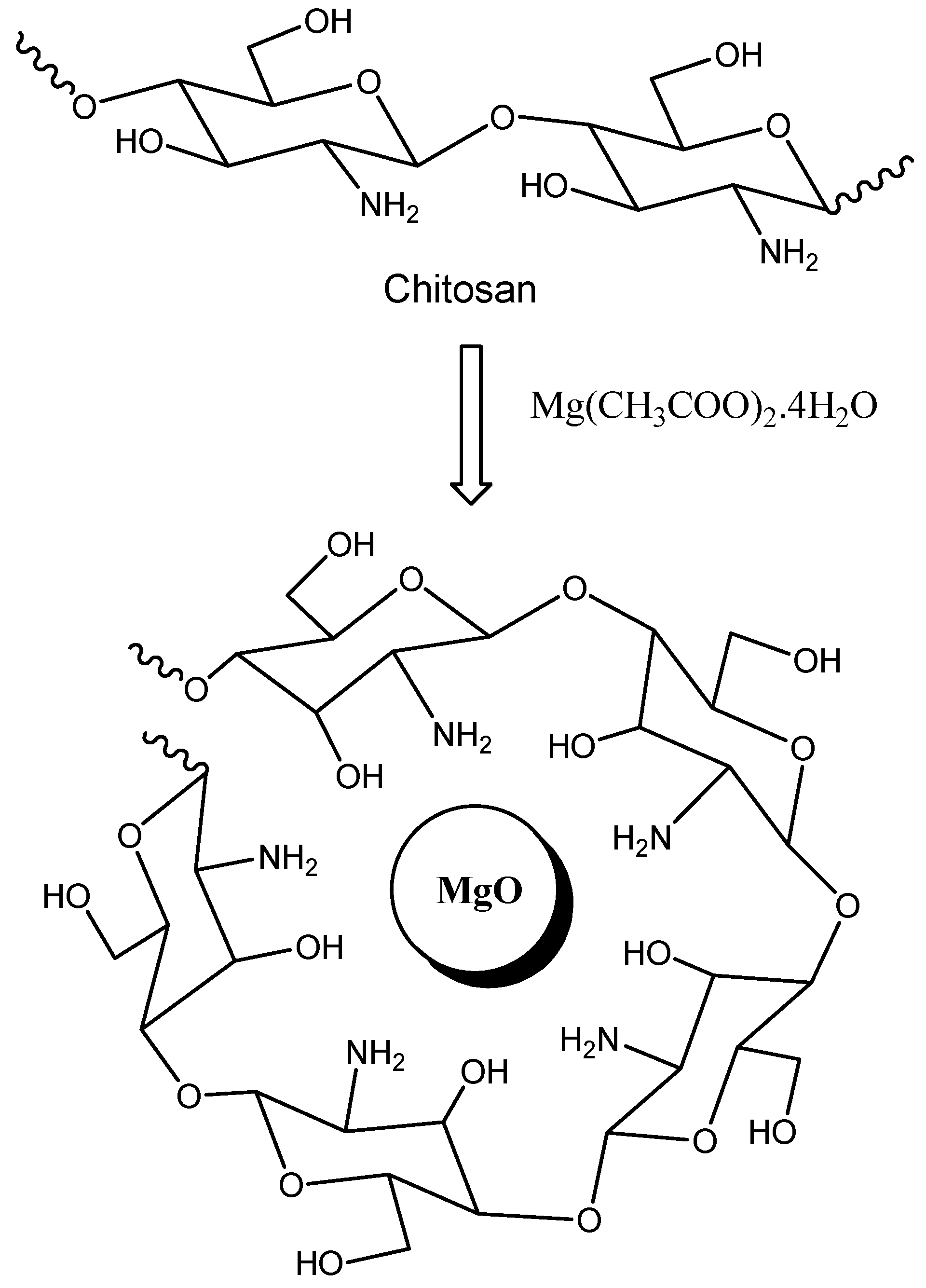 Nanomaterials 08 00928 g001
