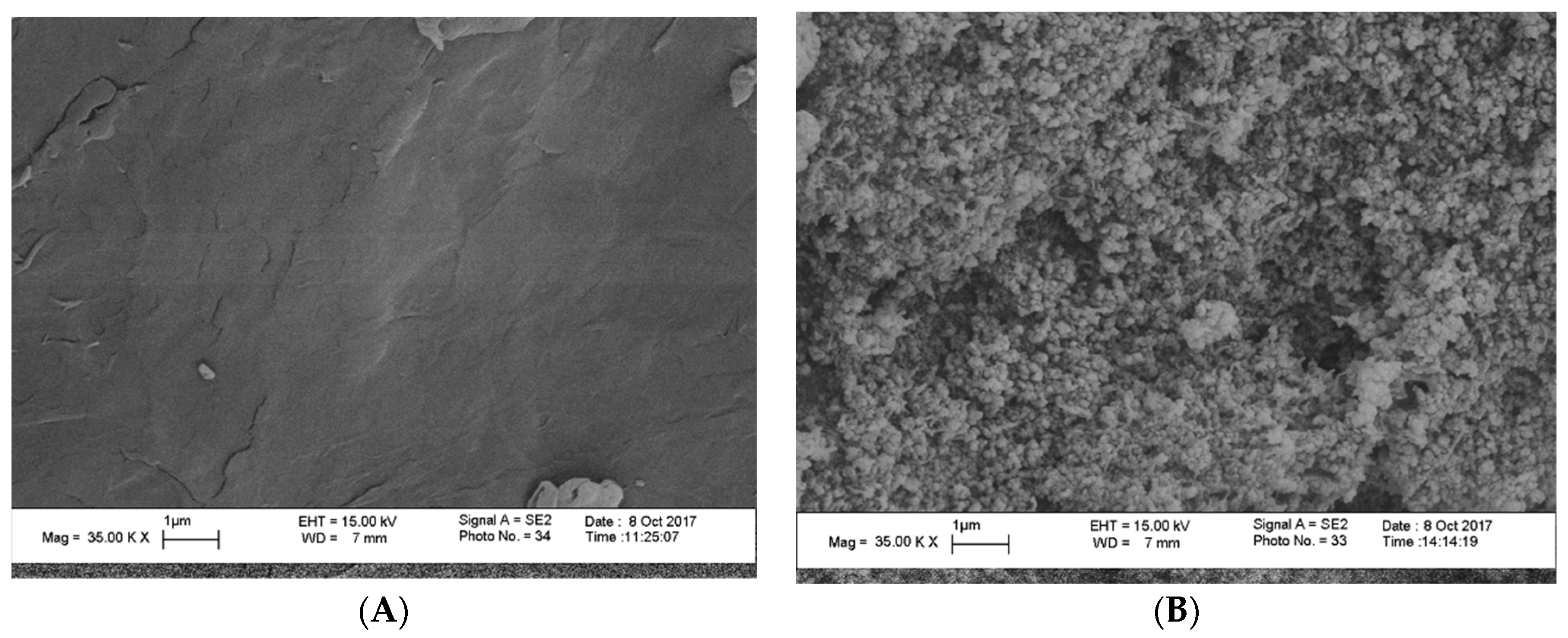 Nanomaterials 08 00928 g003