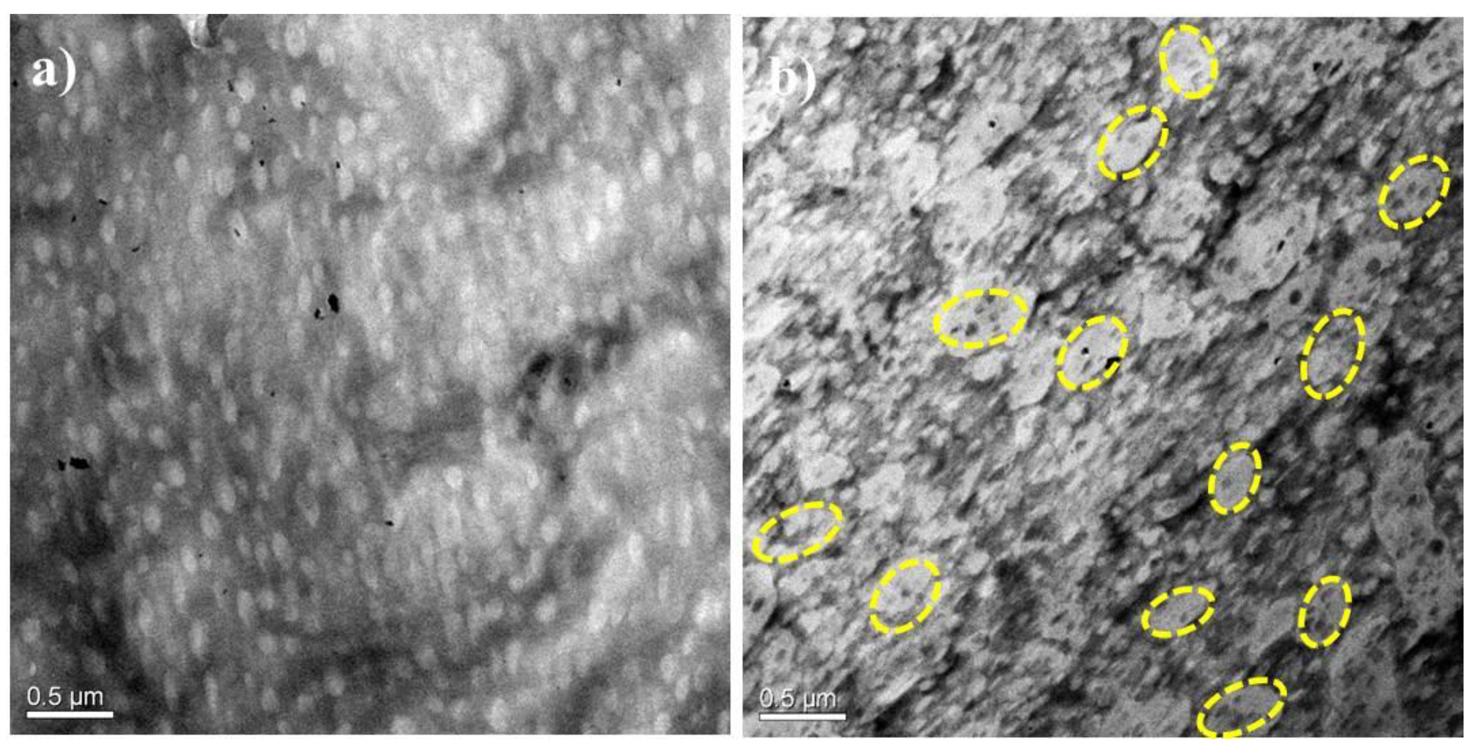 Nanomaterials 08 00932 g002 550